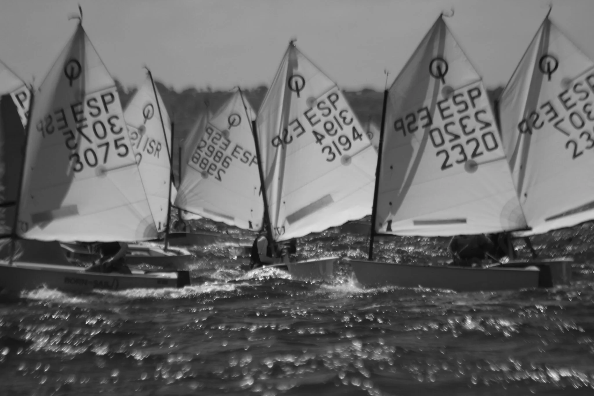 XLVII TROFEO MAMÁ OPTIMIST S.M. LA REINA