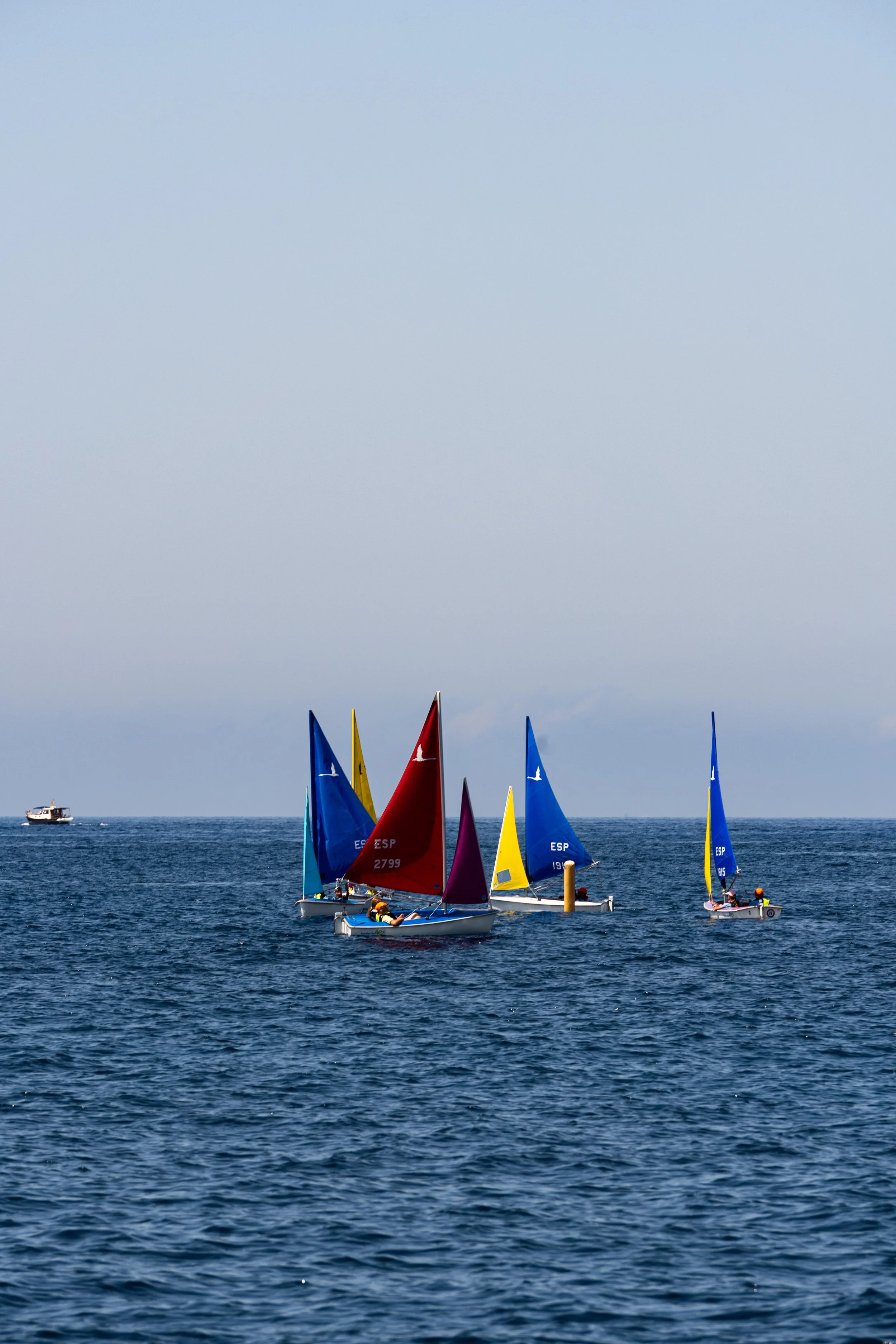 DSC02499.jpg