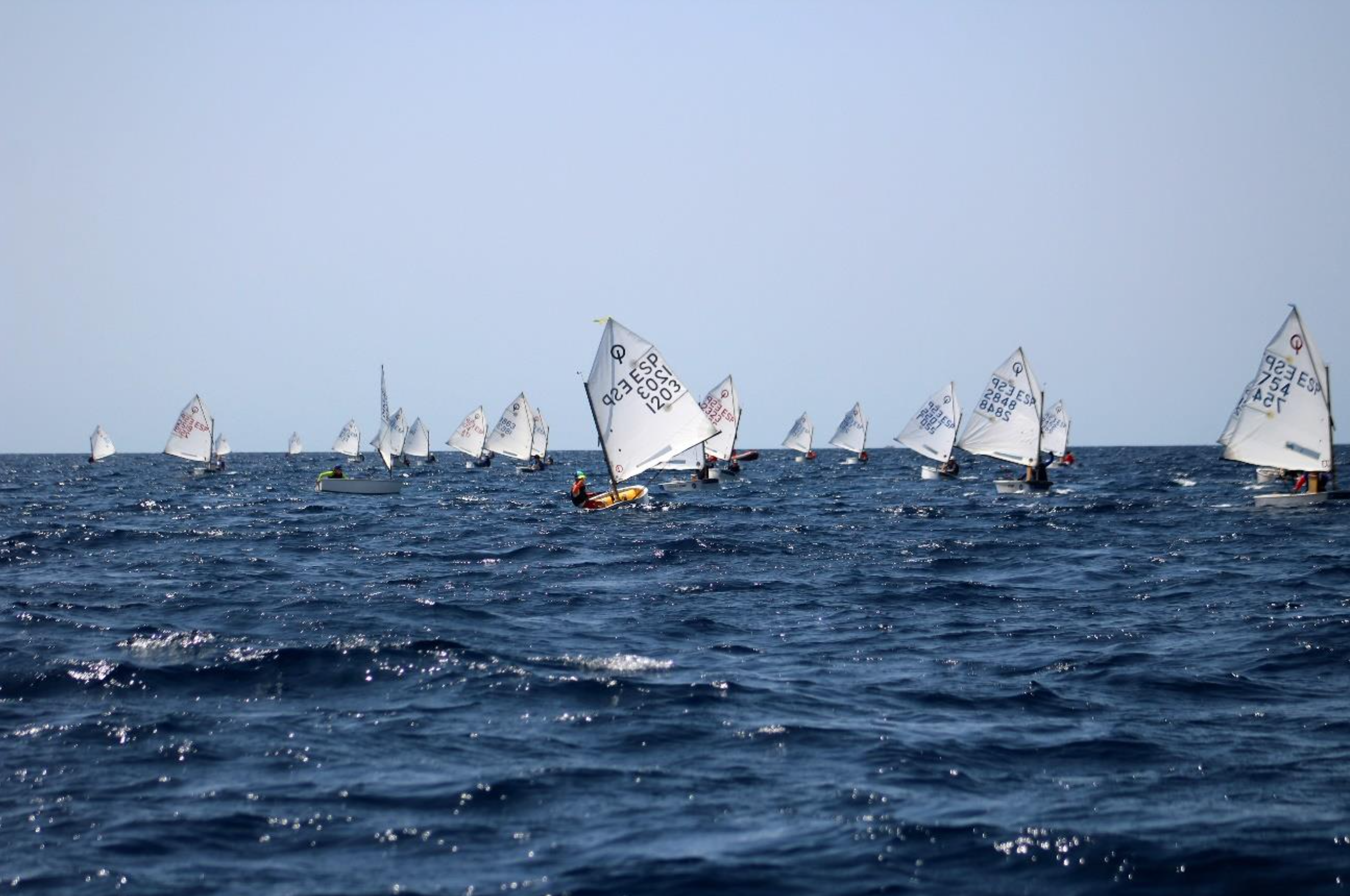 Campeonato de Mallorca OPTIMIST – TROFEU COLONYA