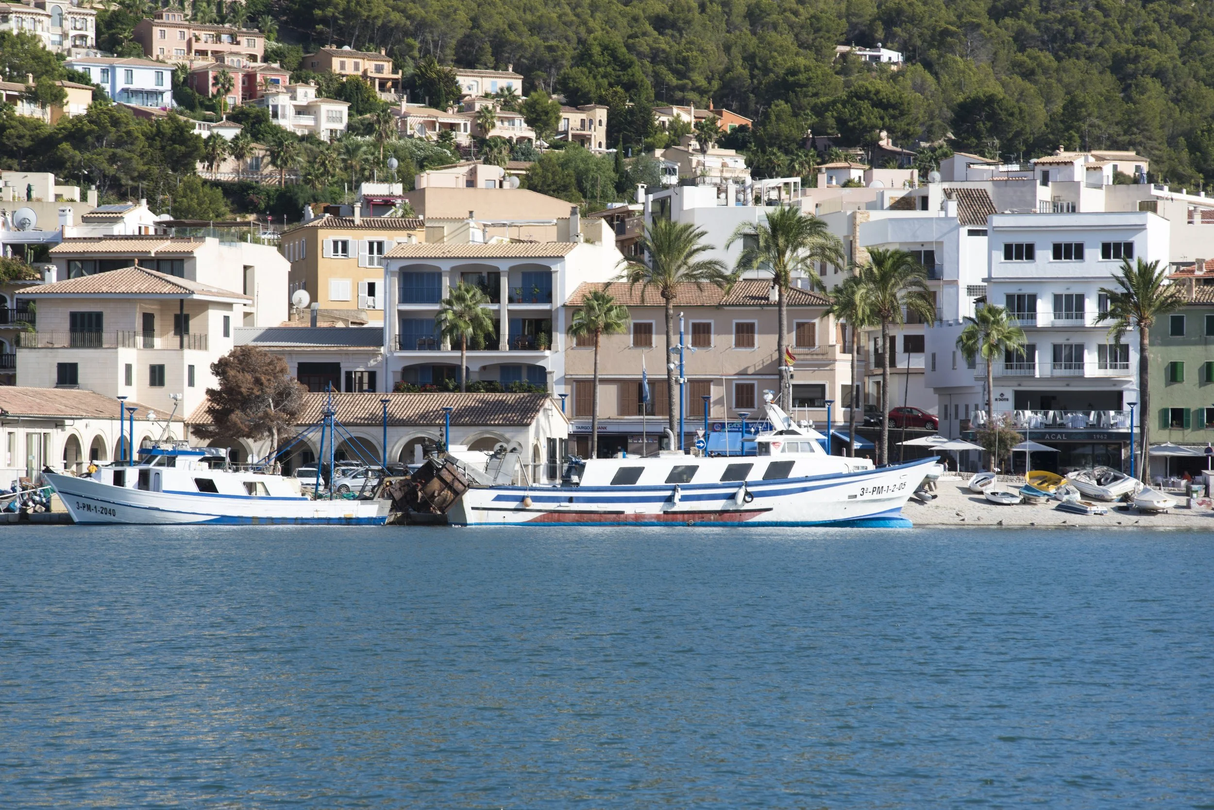 Vista de un puerto con varios barcos en el agua y edificios residenciales en una colina con árboles verdes.