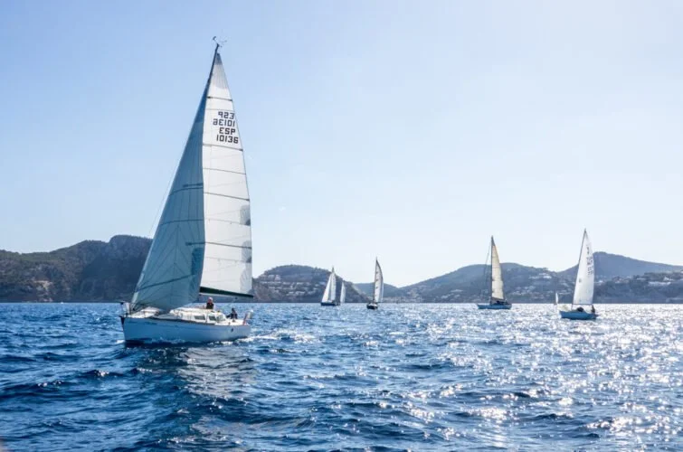 Veleros navegando en el mar con fondo de colinas y cielo despejado.