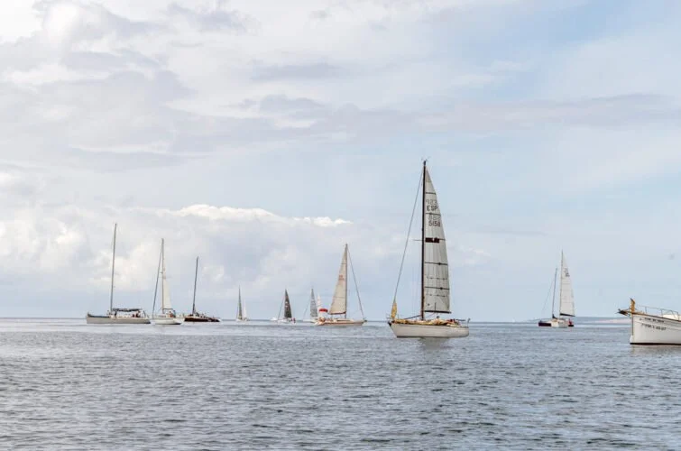 Varias embarcaciones de vela navegando en el mar bajo un cielo nublado.