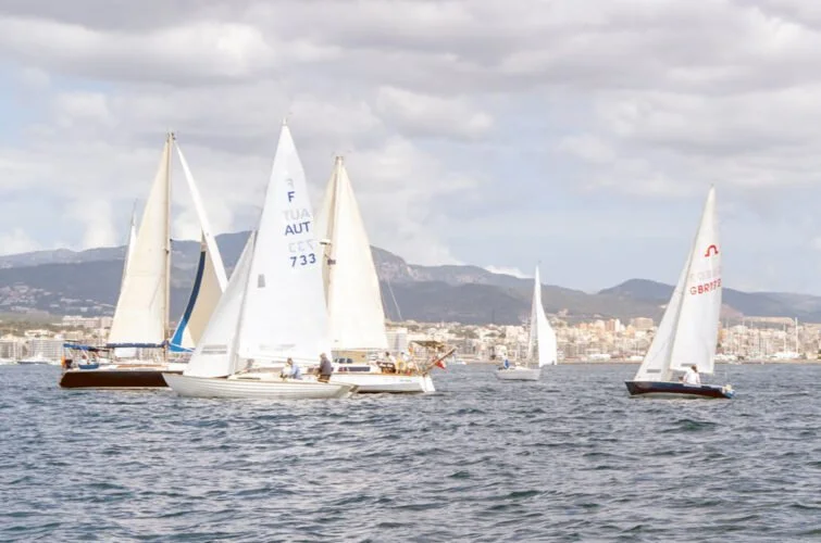 Varios barcos de vela navegando en el mar con una ciudad y montañas al fondo.