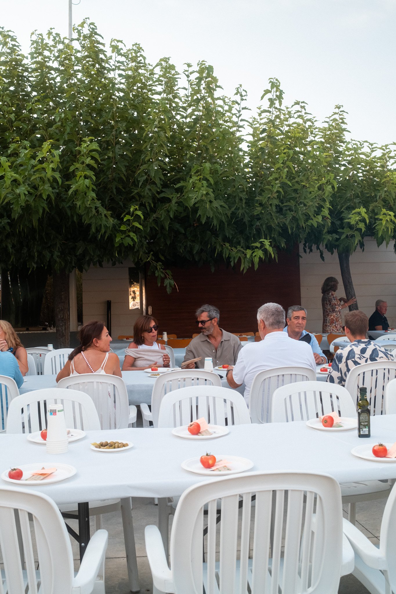 Mesa decorada para un evento al aire libre, con platos que tienen tomates y otros aperitivos, y personas sentadas y conversando debajo de un árbol con hojas verdes frondosas.