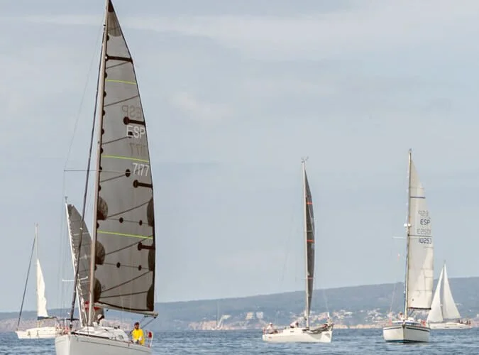 Varios botes de vela navegando en el mar con fondo de costa y cielo nublado.