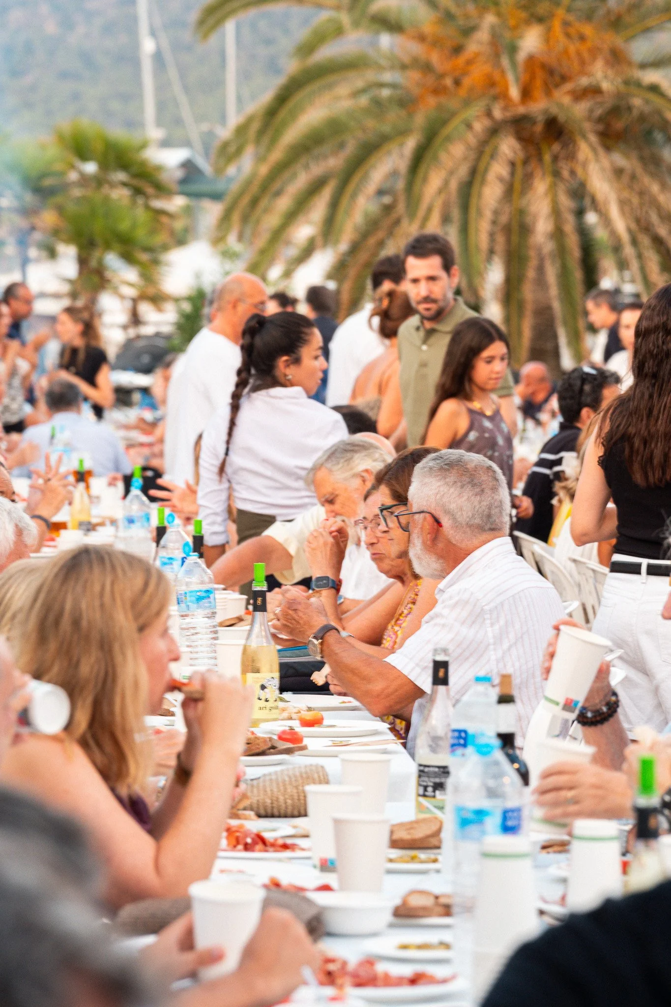 Una reunión al aire libre con varias personas sentadas comiendo y bebiendo, y algunas personas en pie en el fondo cerca de una palmera