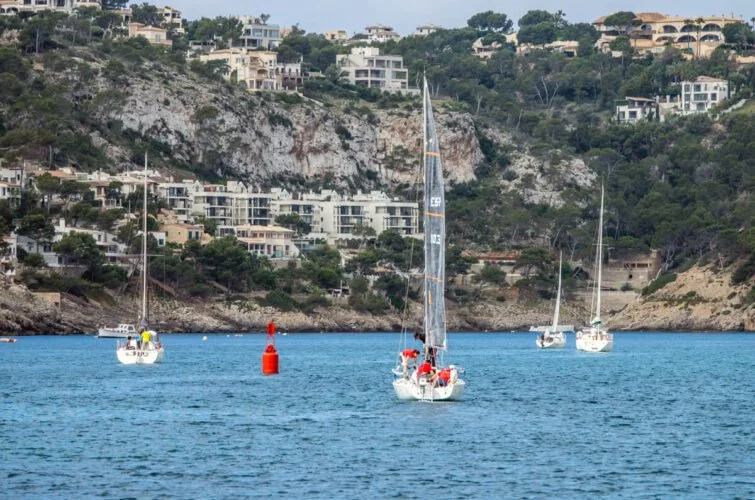Velero navegando en el mar con casas en la colina al fondo.
