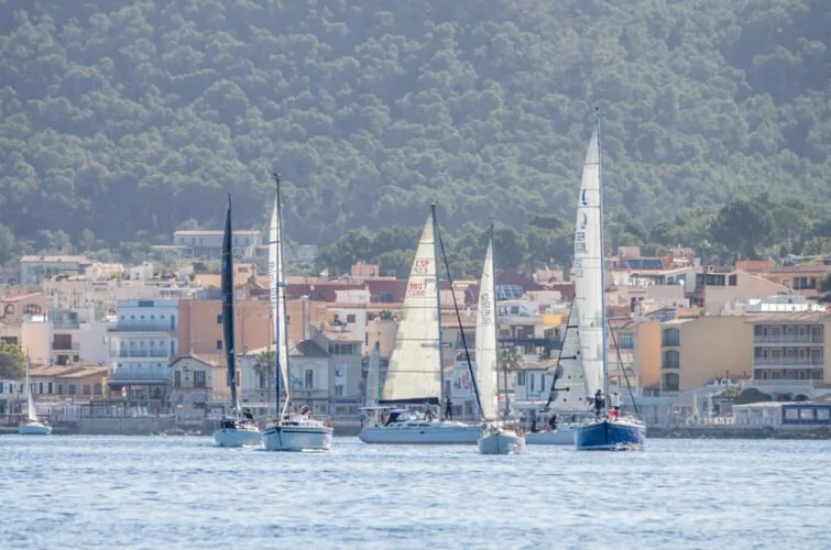 Cinco barcos de vela navegando en un puerto con una ciudad de fondo y colinas verdes.
