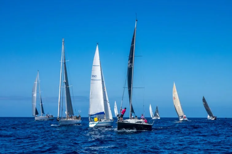 Varias embarcaciones de vela navegando en el mar bajo un cielo despejado.