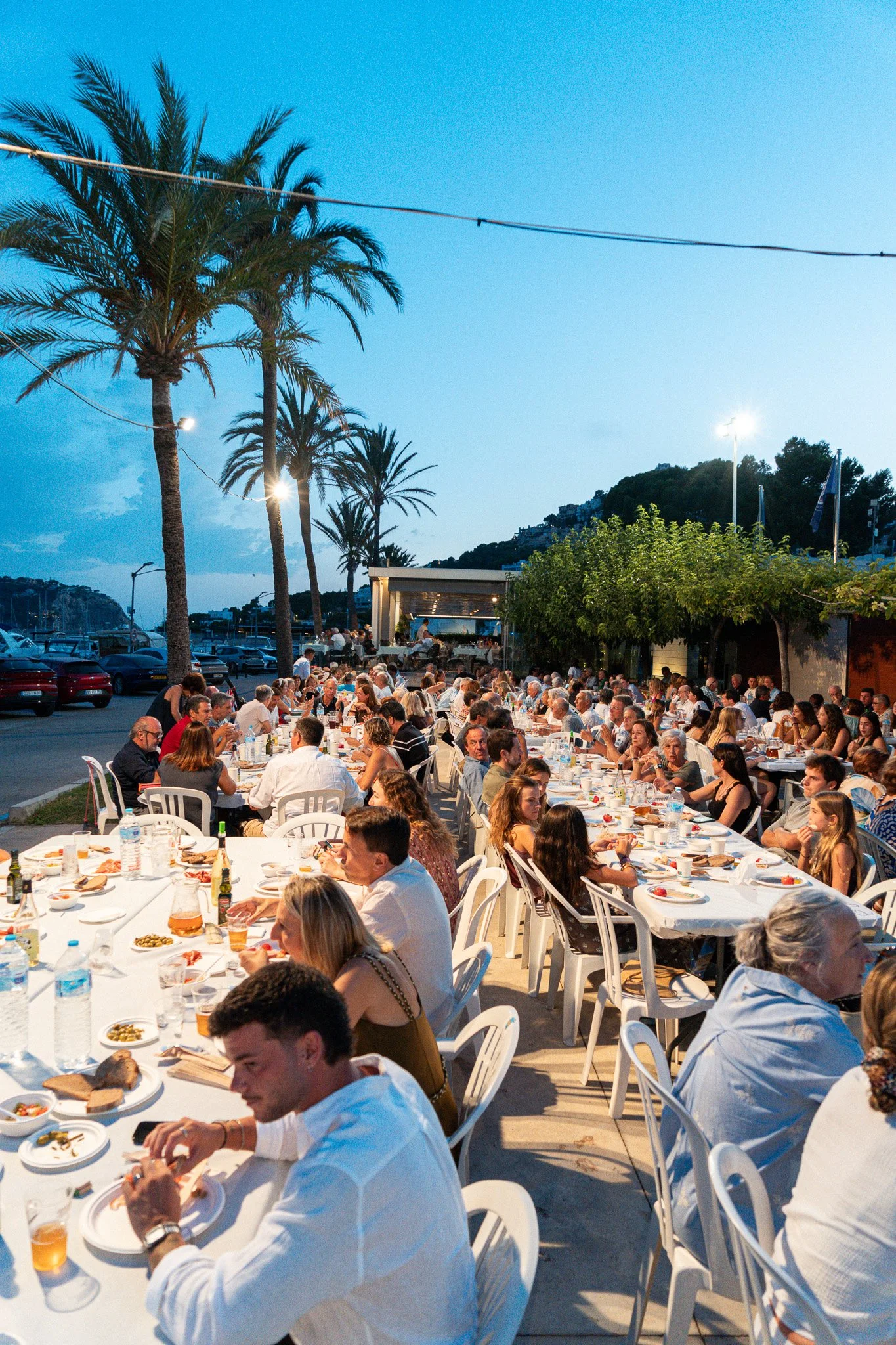 Reunión en una terraza con muchas personas cenando al aire libre, mesas largas con comida y bebidas, palmeras y un cielo al atardecer.