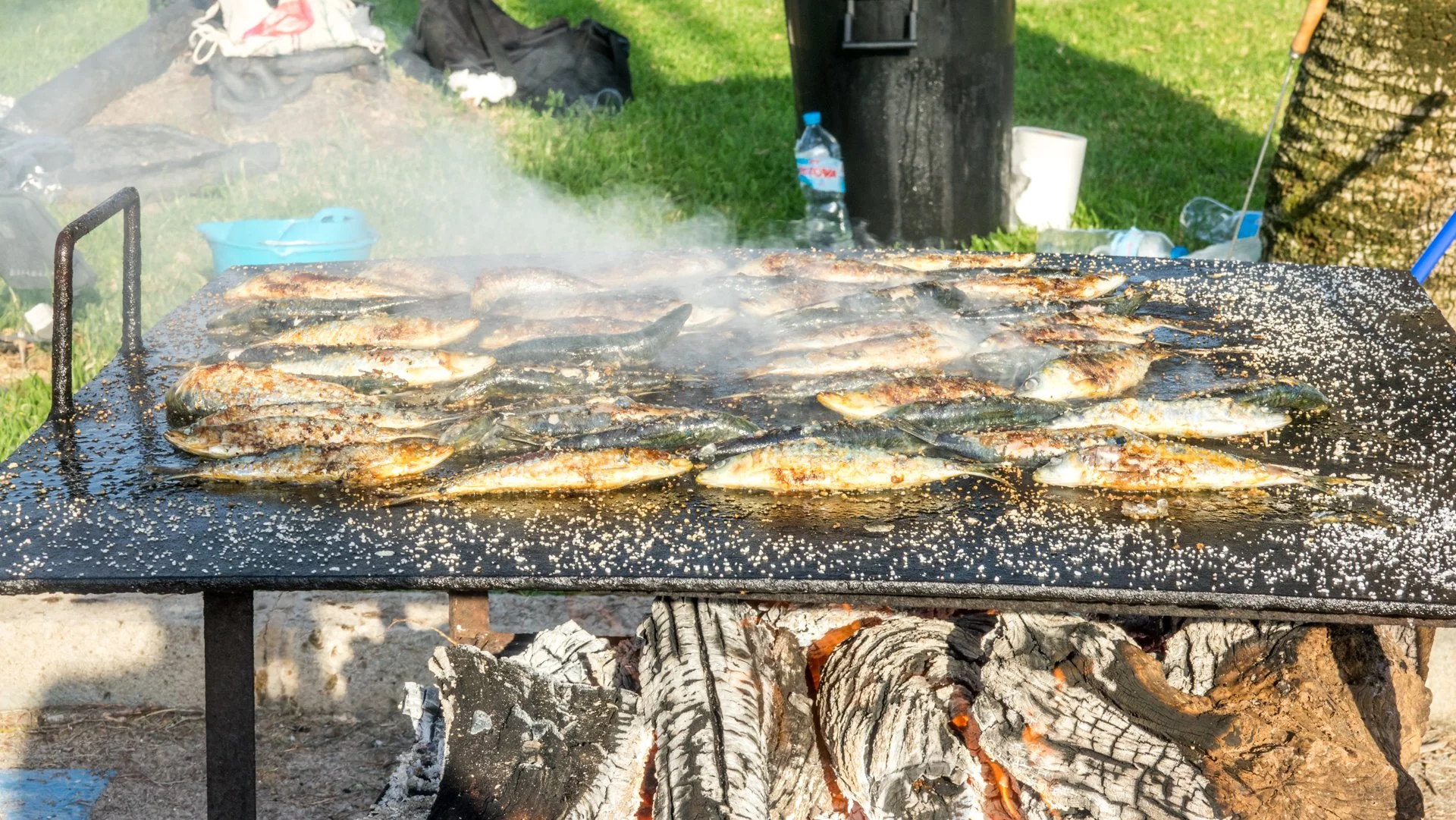 Pescados asándose en una parrilla al aire libre con madera en las brasas, en un entorno de césped y objetos como botellas de agua y utensilios de camping.