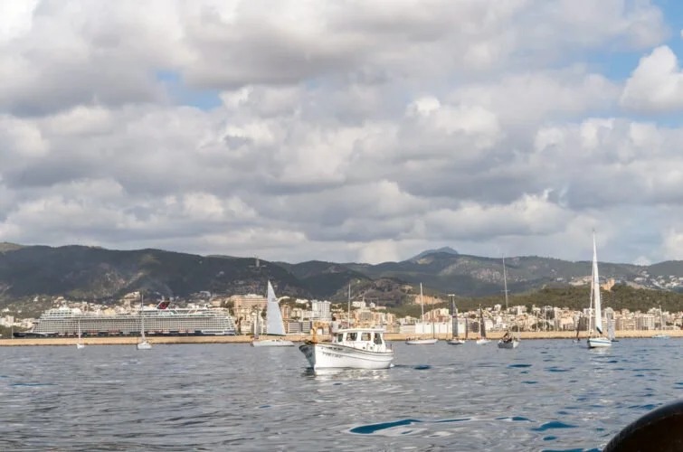 Vista del mar con varios barcos, incluyendo un ferry grande y barcos pequeños, con una ciudad y montañas al fondo bajo un cielo nublado.