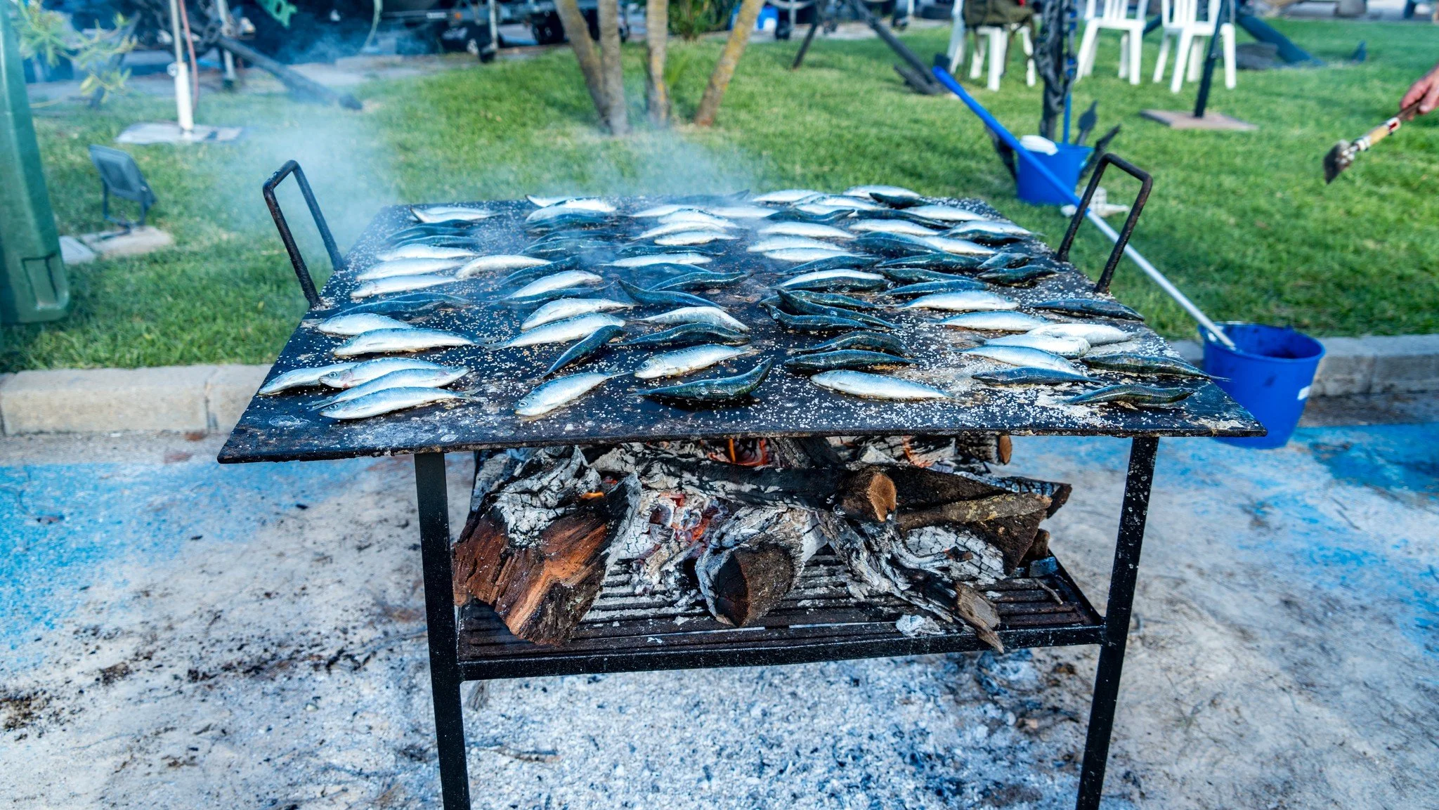 Pescado cocinándose en una parrilla al aire libre, con carbón y leña, en un entorno de jardín