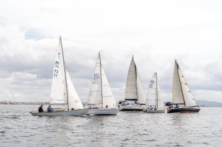 Cinco barcos de vela navegando en el agua con cielos nublados y tierra al fondo.