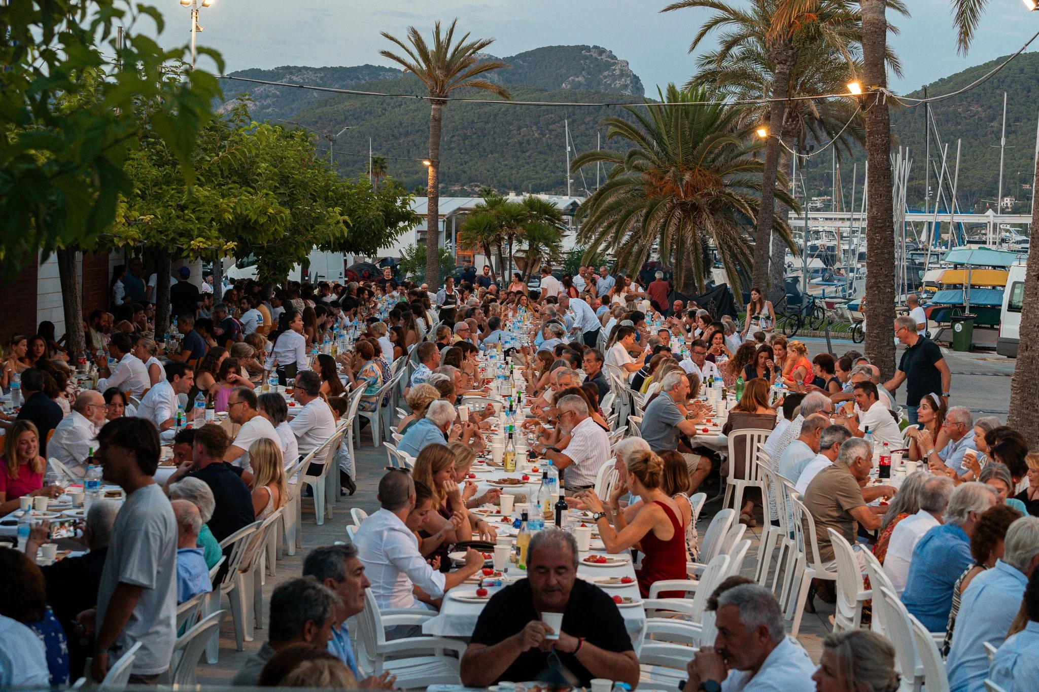 Una reunión al aire libre con muchas personas sentadas en mesas largas, disfrutando de comida y bebidas, en un entorno junto al puerto con barcos y yates, palmeras y montañas al fondo, al atardecer.