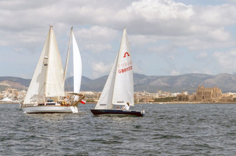 Regata Presidente 2024
