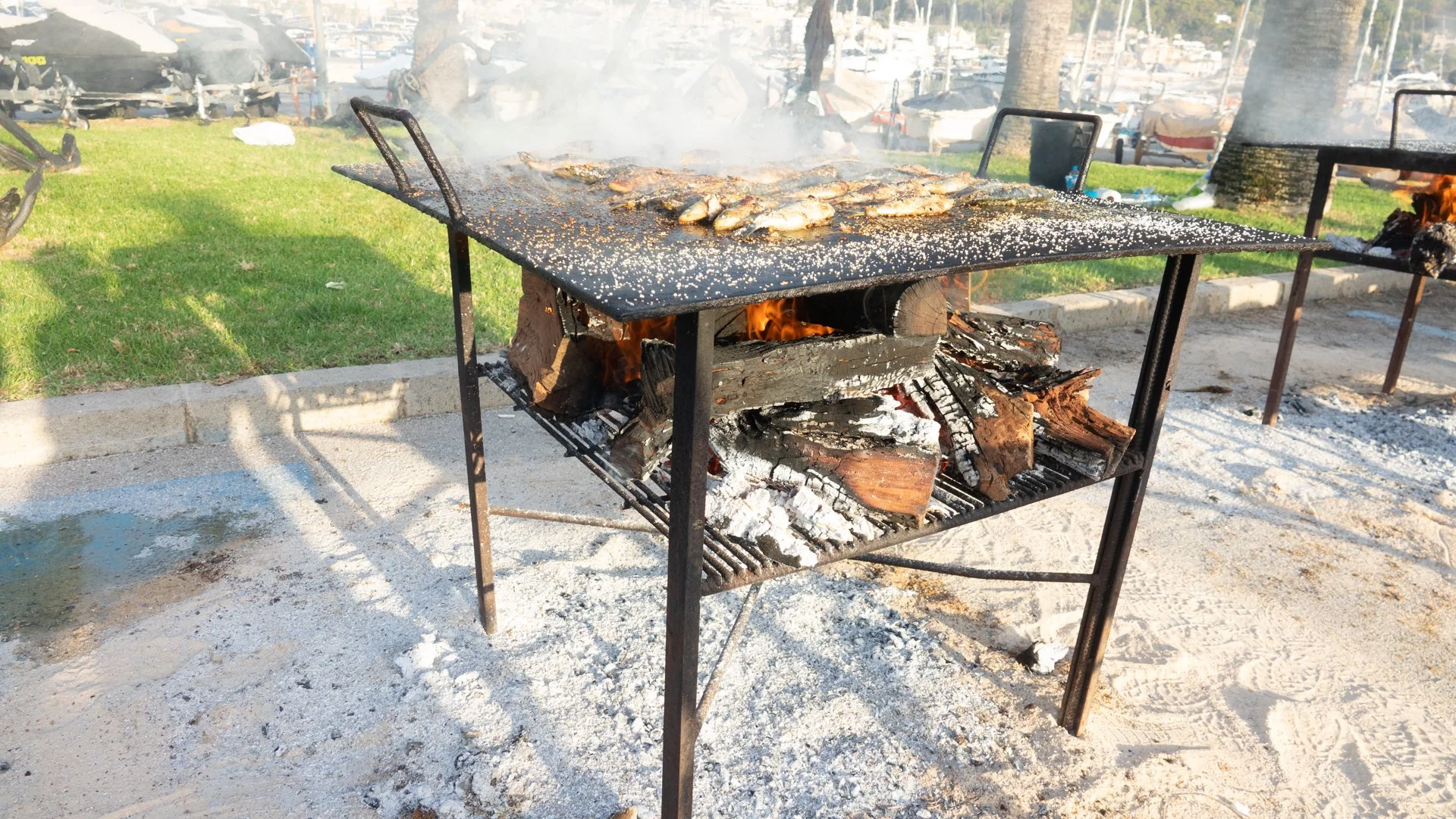 Asador con carne cocinándose sobre una parrilla de metal, con brasas y madera encendida debajo, en un parque junto a un lago