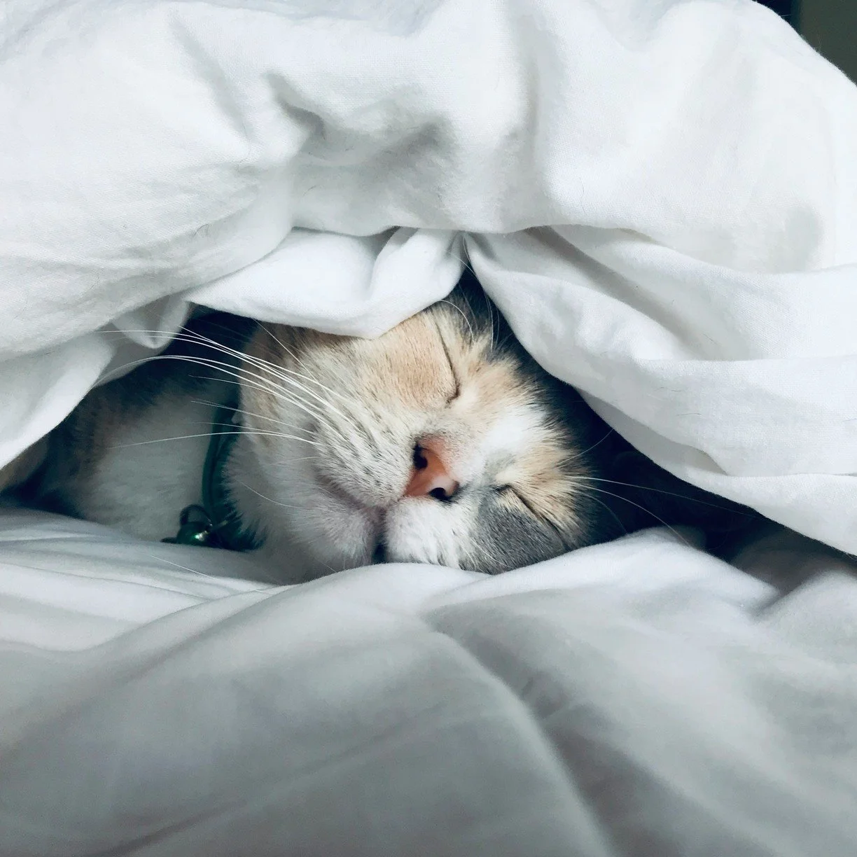 Overcoming Insomnia - Cures For Lack of Sleep