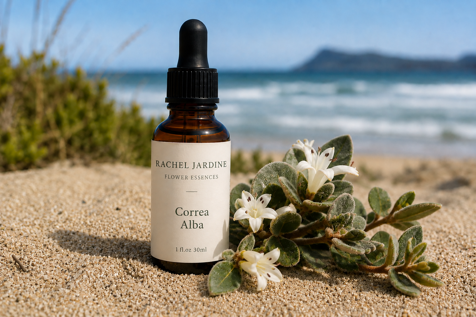 White Correa