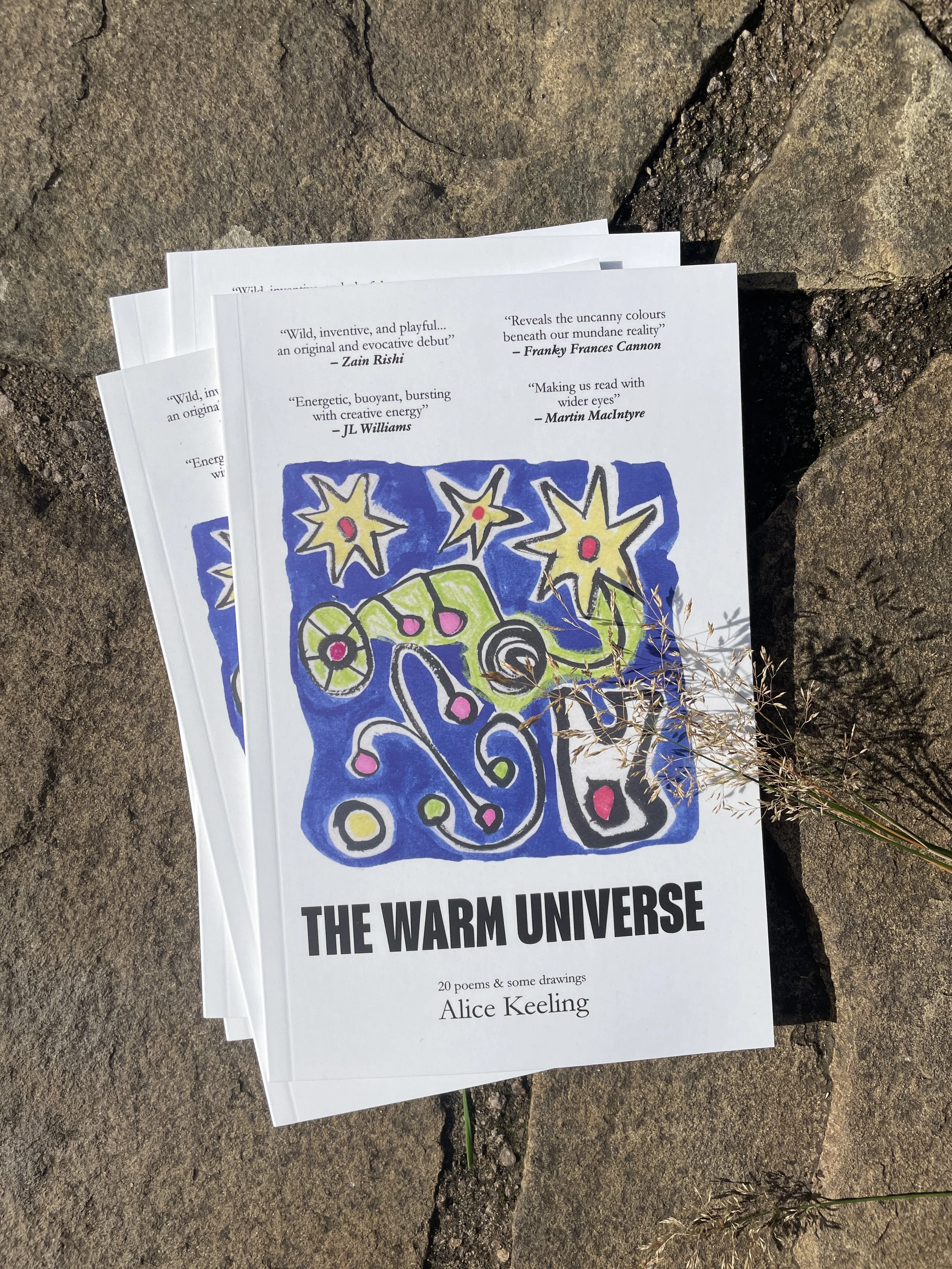 The Warm Universe by Alice Keeling