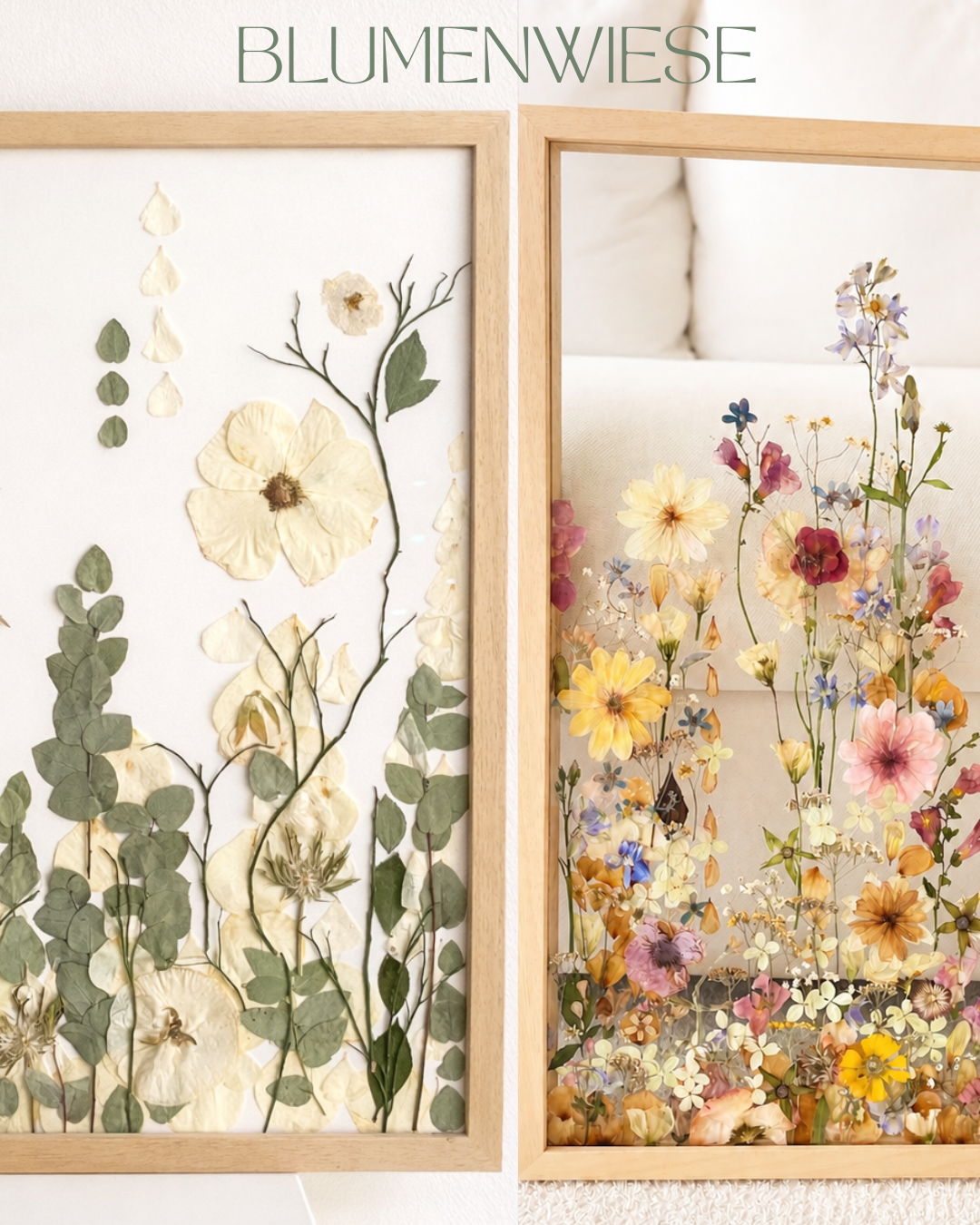 Design Blumenwiese.png