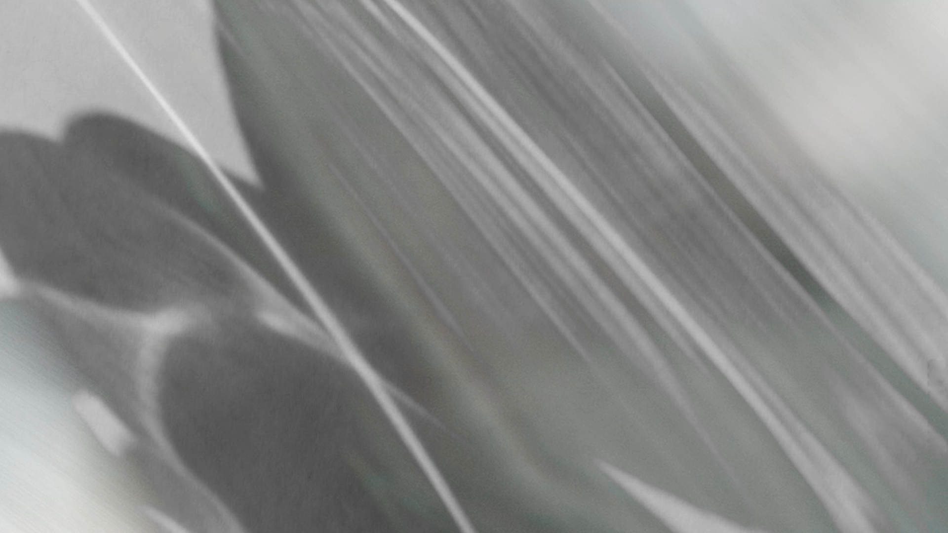 fallback_bright.png