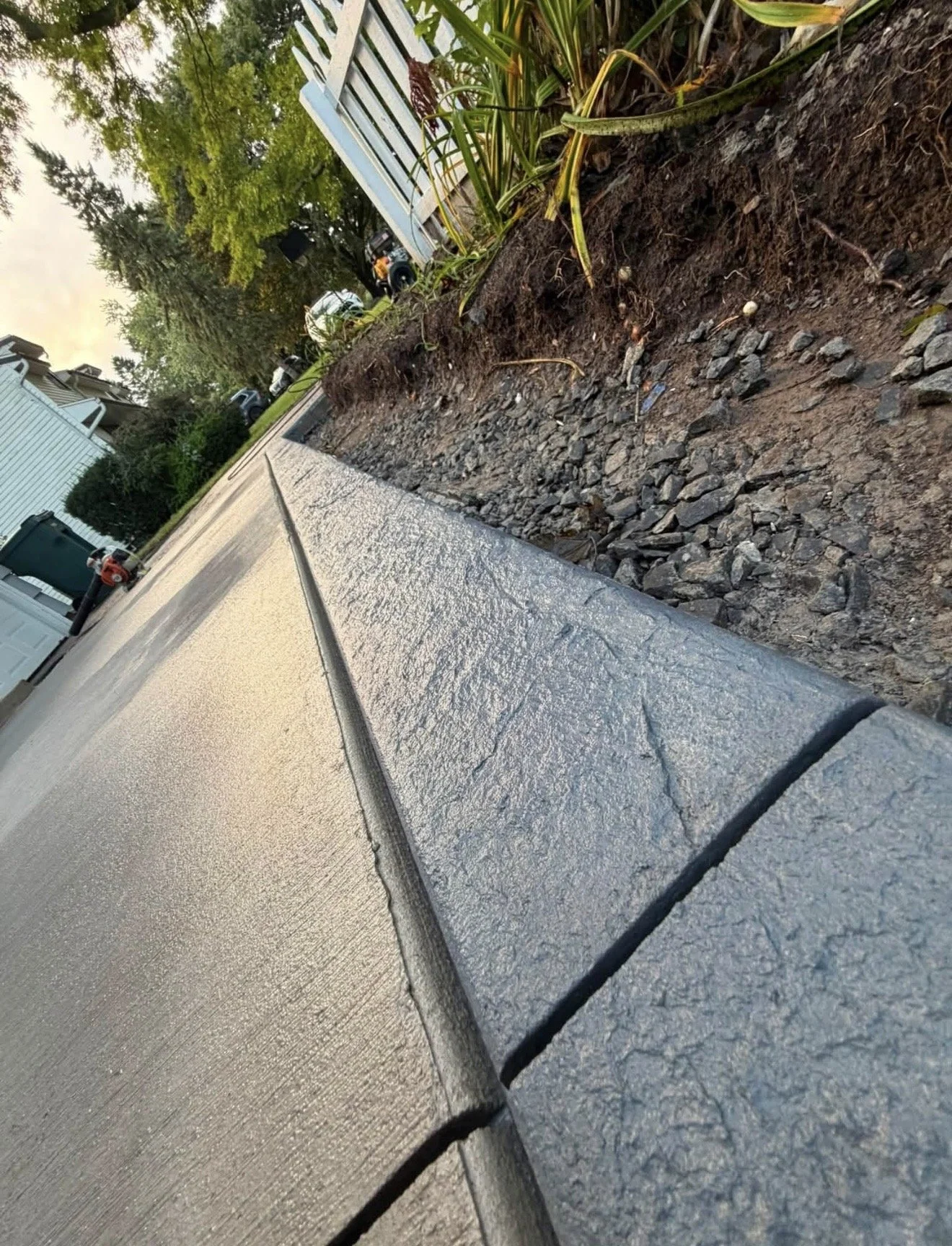 Close-up view of a freshly poured concrete sidewalk with a crack, adjacent to a garden bed with plants and soil, in a residential neighborhood with trees and parked cars in the background.
