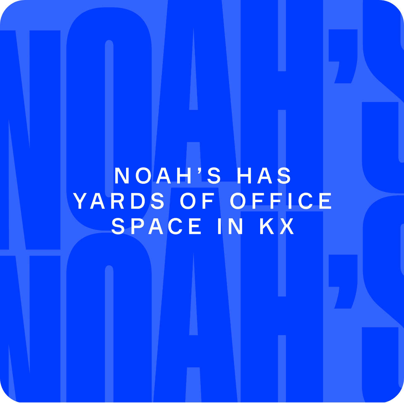 Noah's Yard still