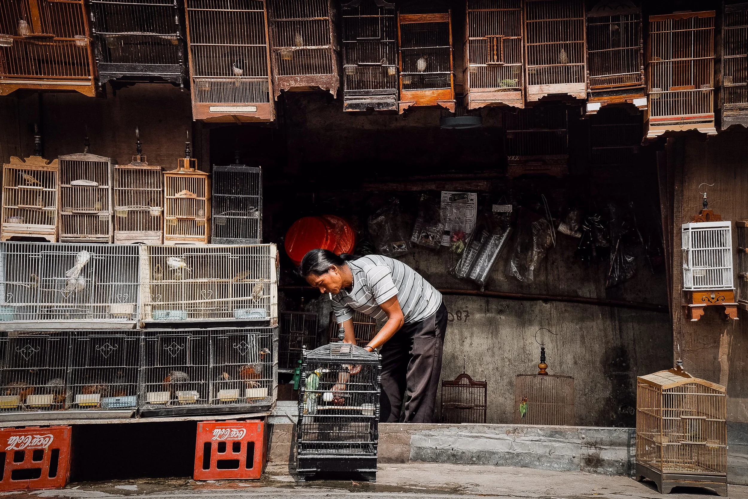 Squarespace Main Page-6.jpg