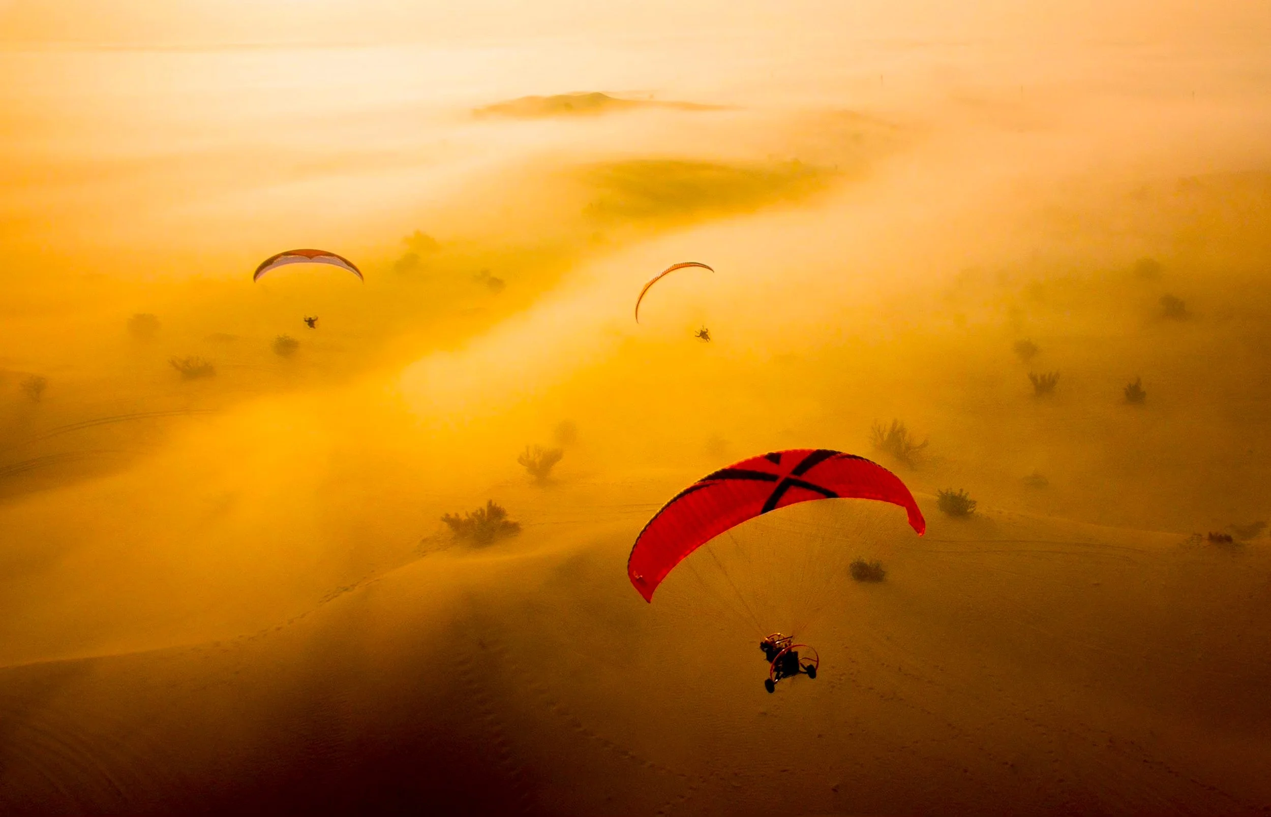 Multiple paragliders flying over a landscape during sunset or sunrise, with a yellow-orange sky and silhouettes of trees on the ground.