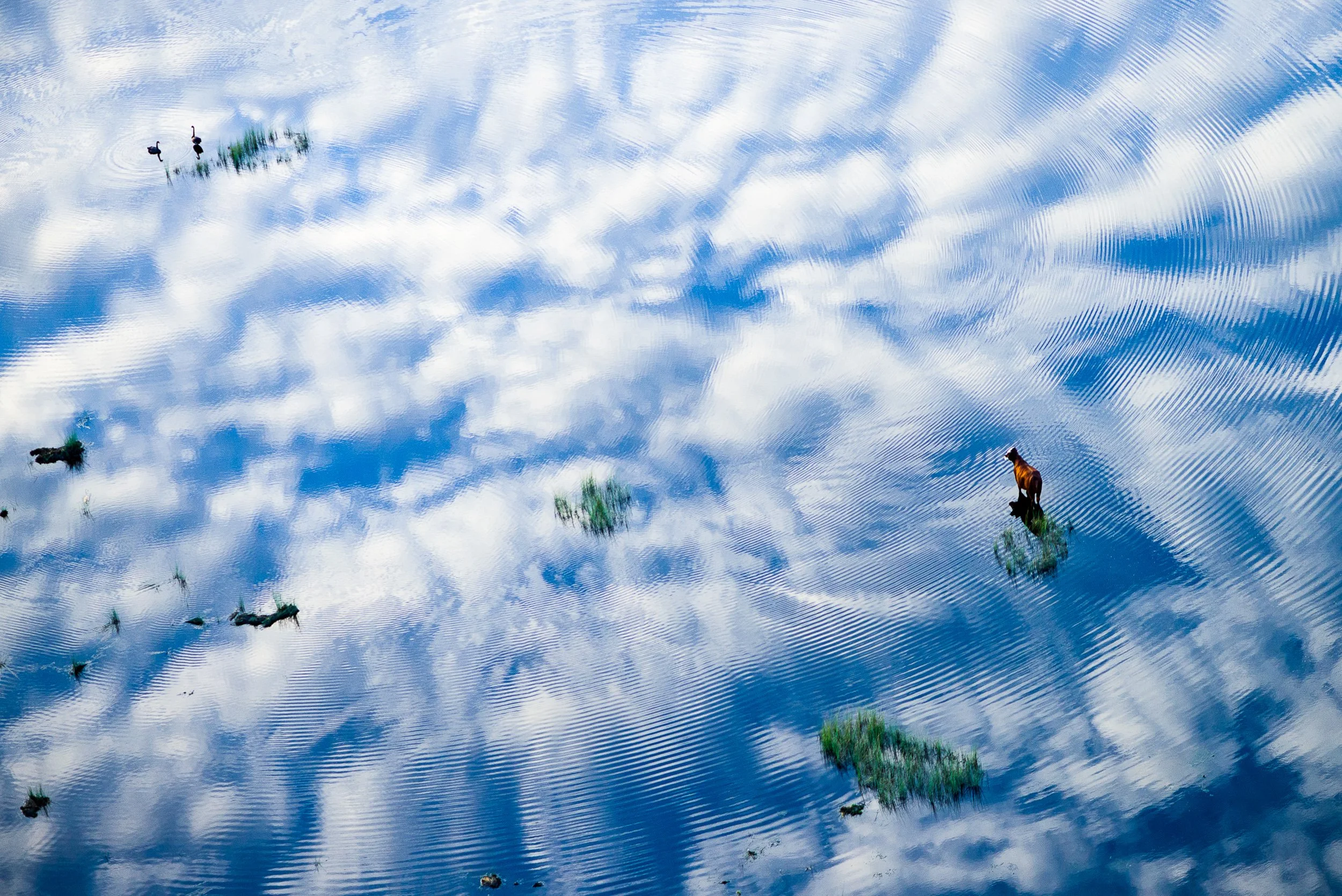 Squarespace Main Page-19.jpg