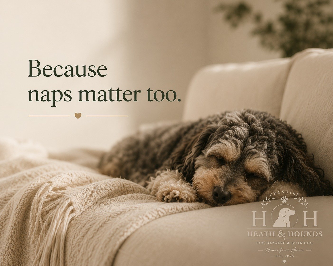 The best days aren't just about walks and playtime.

They're about knowing when it's time to slow down, curl up and recharge.

At Heath &amp; Hounds, every dog will have a warm, cosy place to rest, because we believe great care is all about balance. 