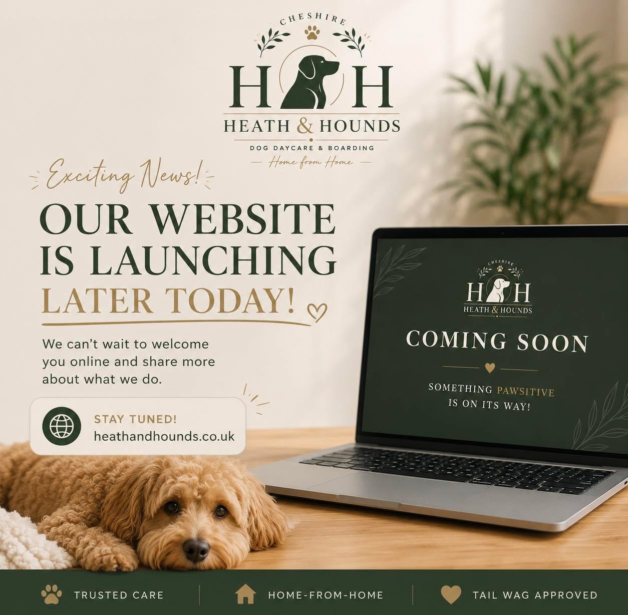 Today&rsquo;s the day! 🐾

Our website will be launching later today!

We can&rsquo;t wait to show you everything we&rsquo;ve been working on. Keep an eye on our socials&mdash;we&rsquo;ll share the link as soon as we&rsquo;re live.

🌐 heathandhounds