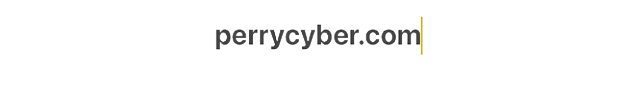 perrycyber.com
