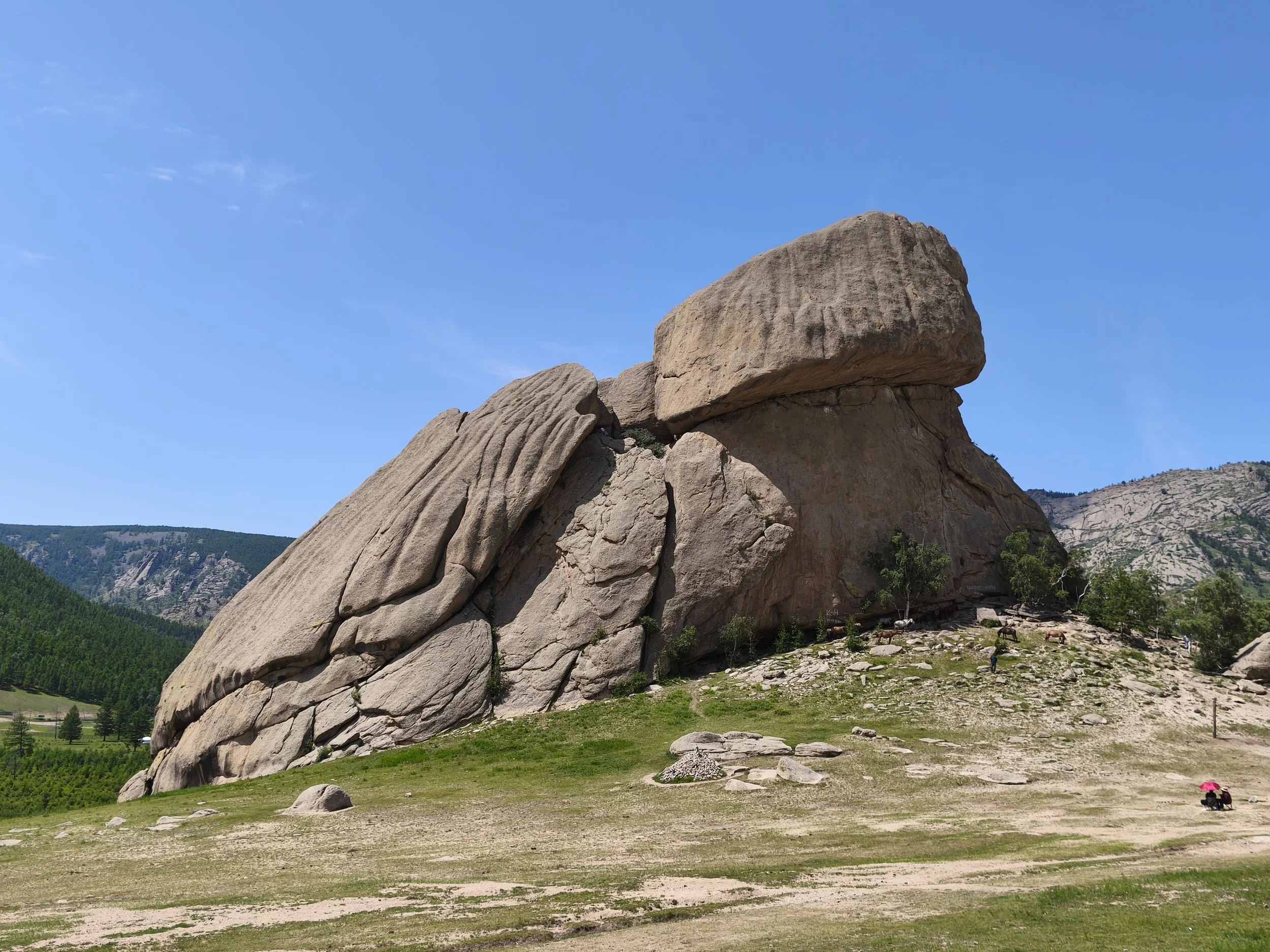 Mongolia Cycling Trip 2026 - 16.jpeg
