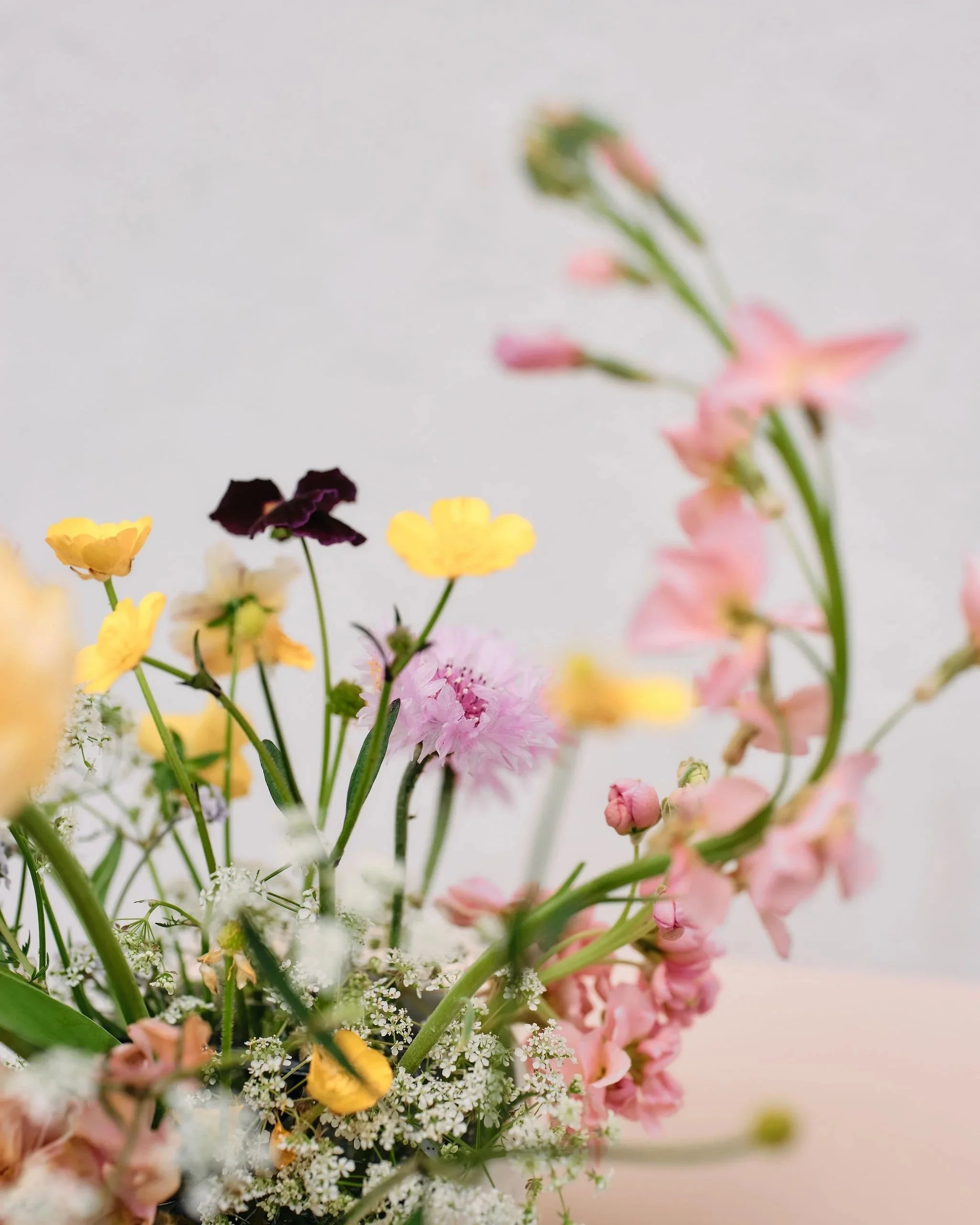 Spring Bowl - Floristry Retreat 