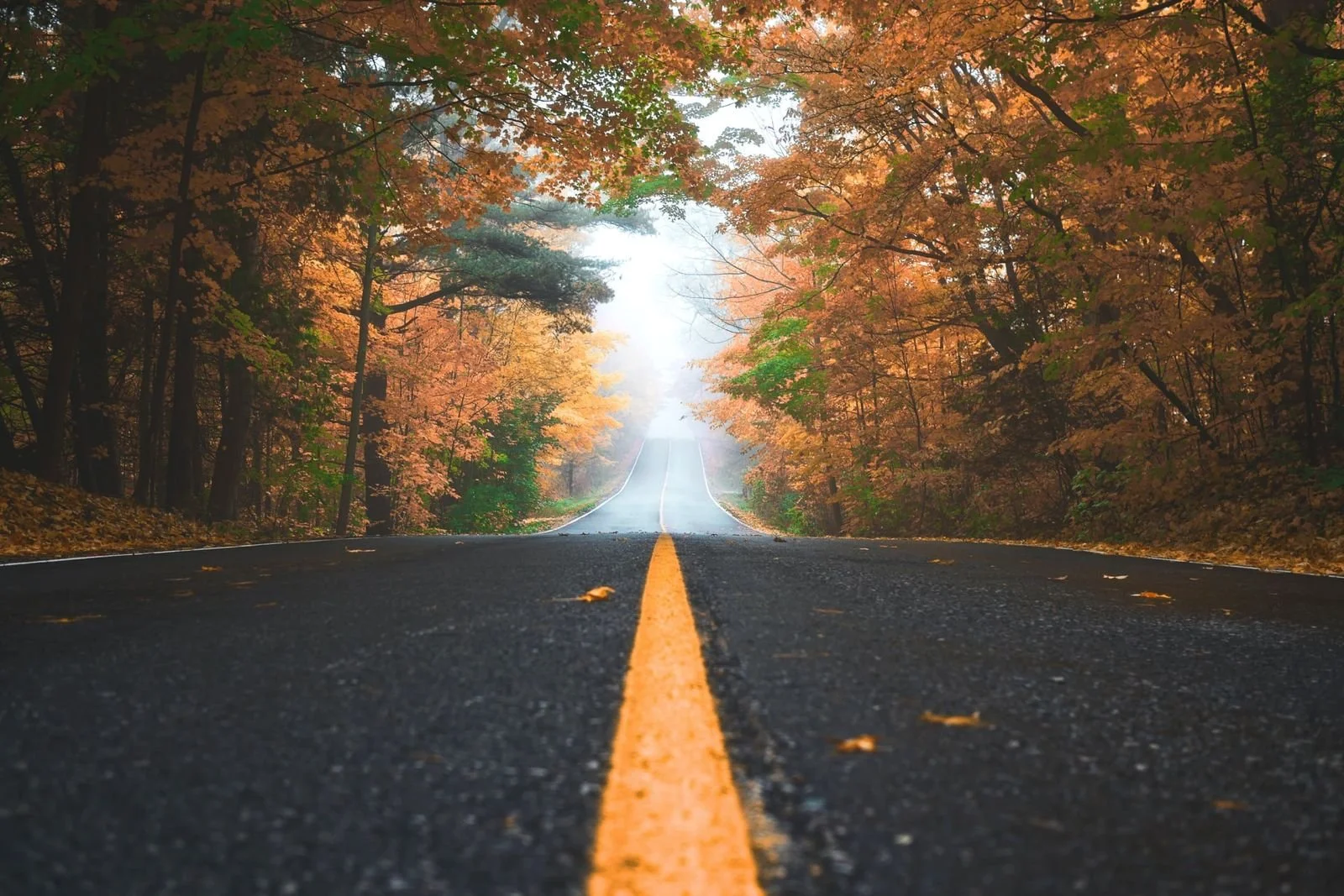 Clarity &amp; Direction