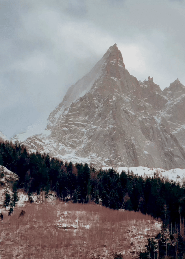 0719 (1).gif