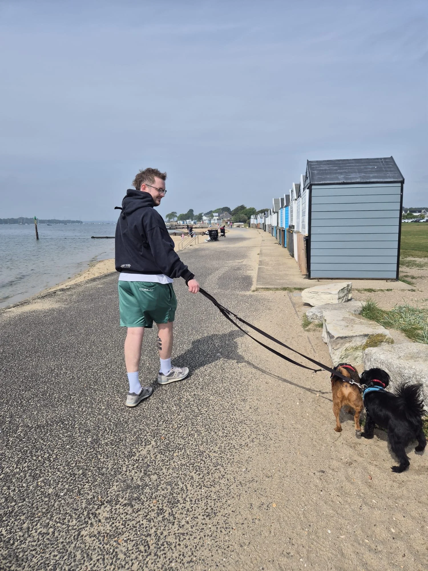 A man walking two dogs along a seaside promenade with beach huts on the right and water on the left.