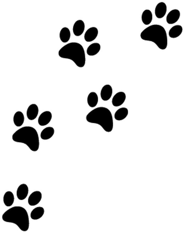 Four paw prints on a black background, arranged in a scattered pattern.