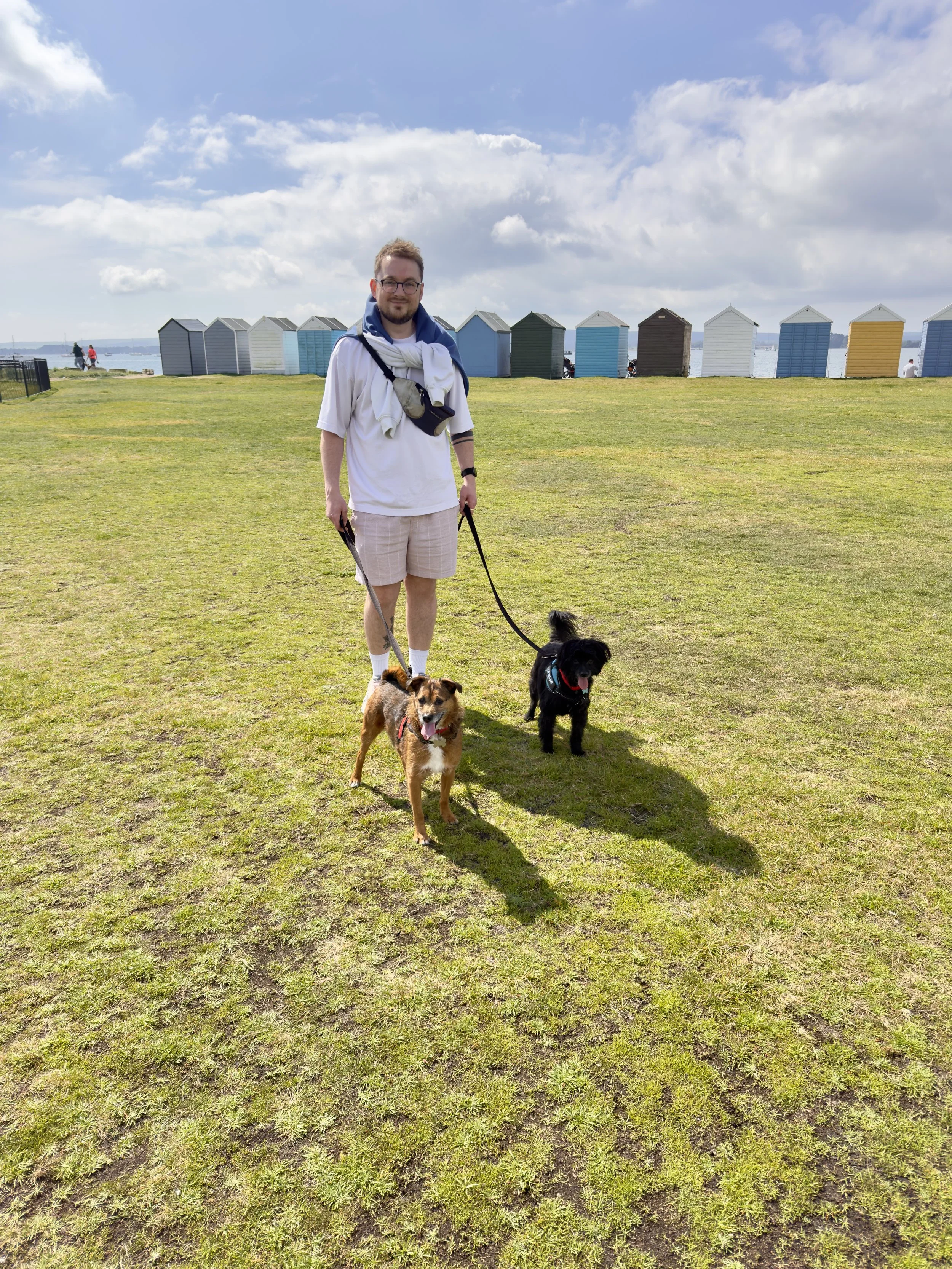 A man walking two dogs on a grassy area near a body of water, with colorful beach huts in the background and a partly cloudy sky.