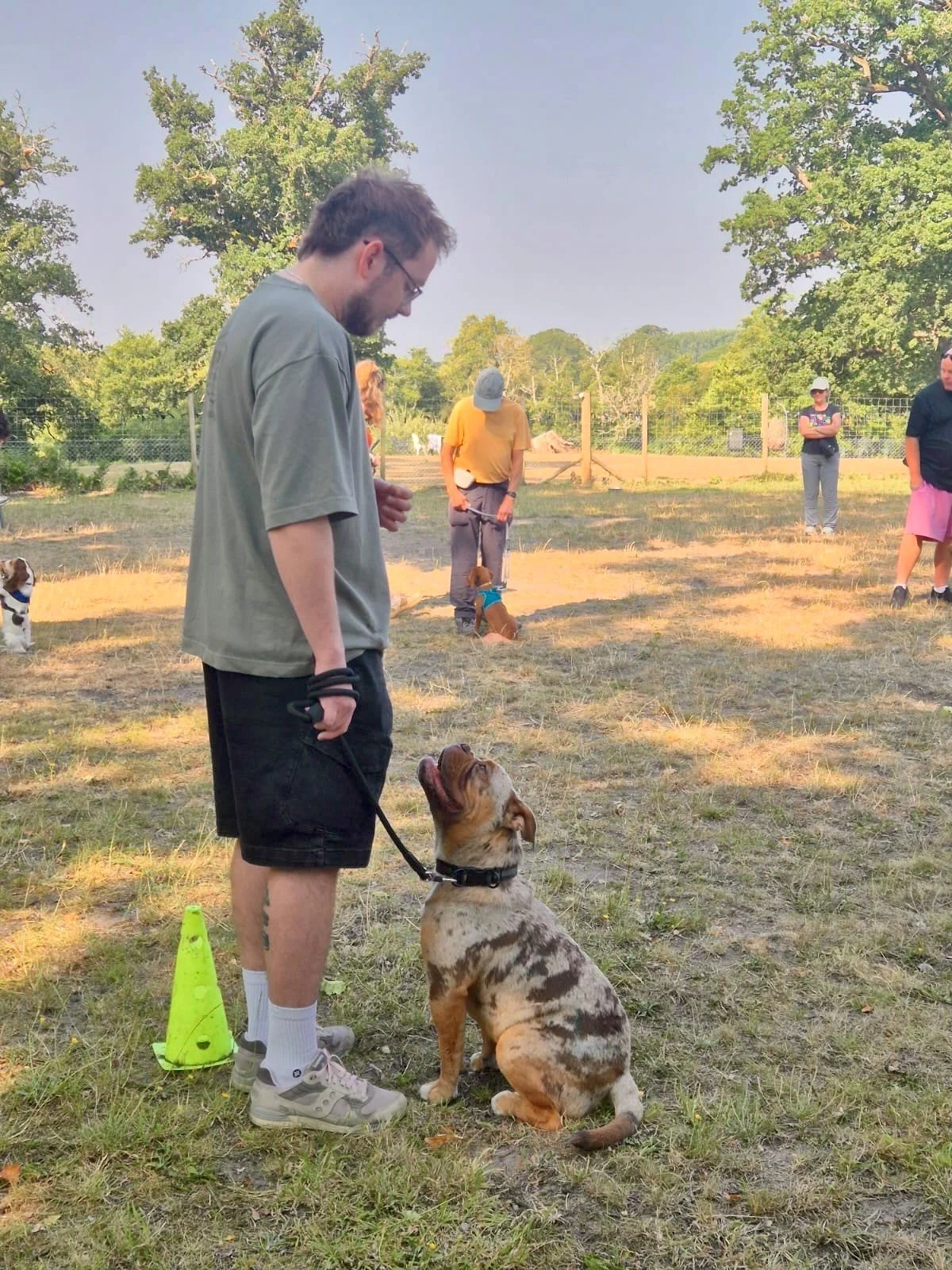 A man in shorts and a t-shirt stands with a brown and white dog sitting at his feet, looking up at him in an outdoor setting with several other people and dogs in the background, some sitting and some standing, near a fenced area with trees.