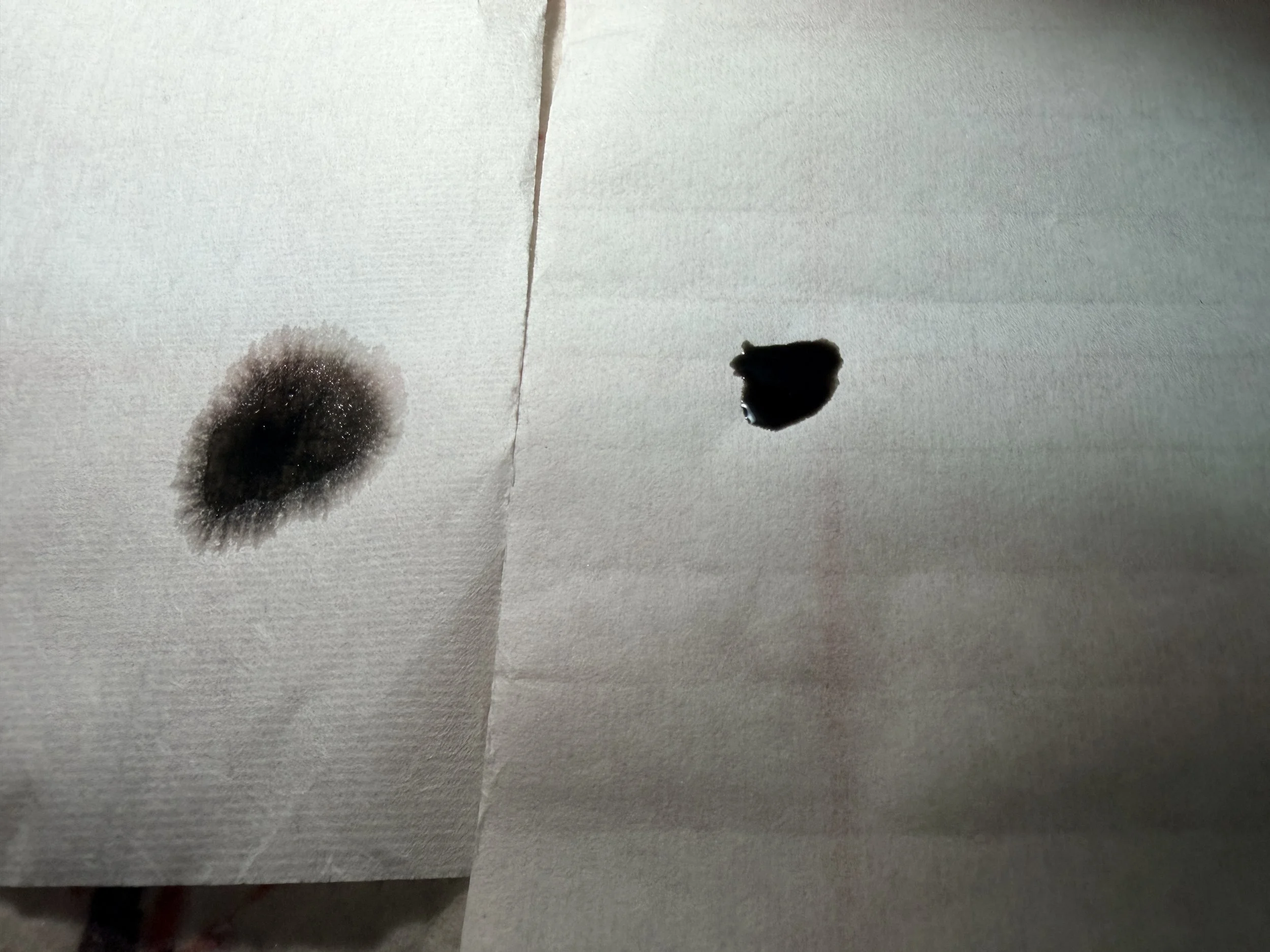 Why Does Ink Spread on Some Chinese Paintings, But Not Others?