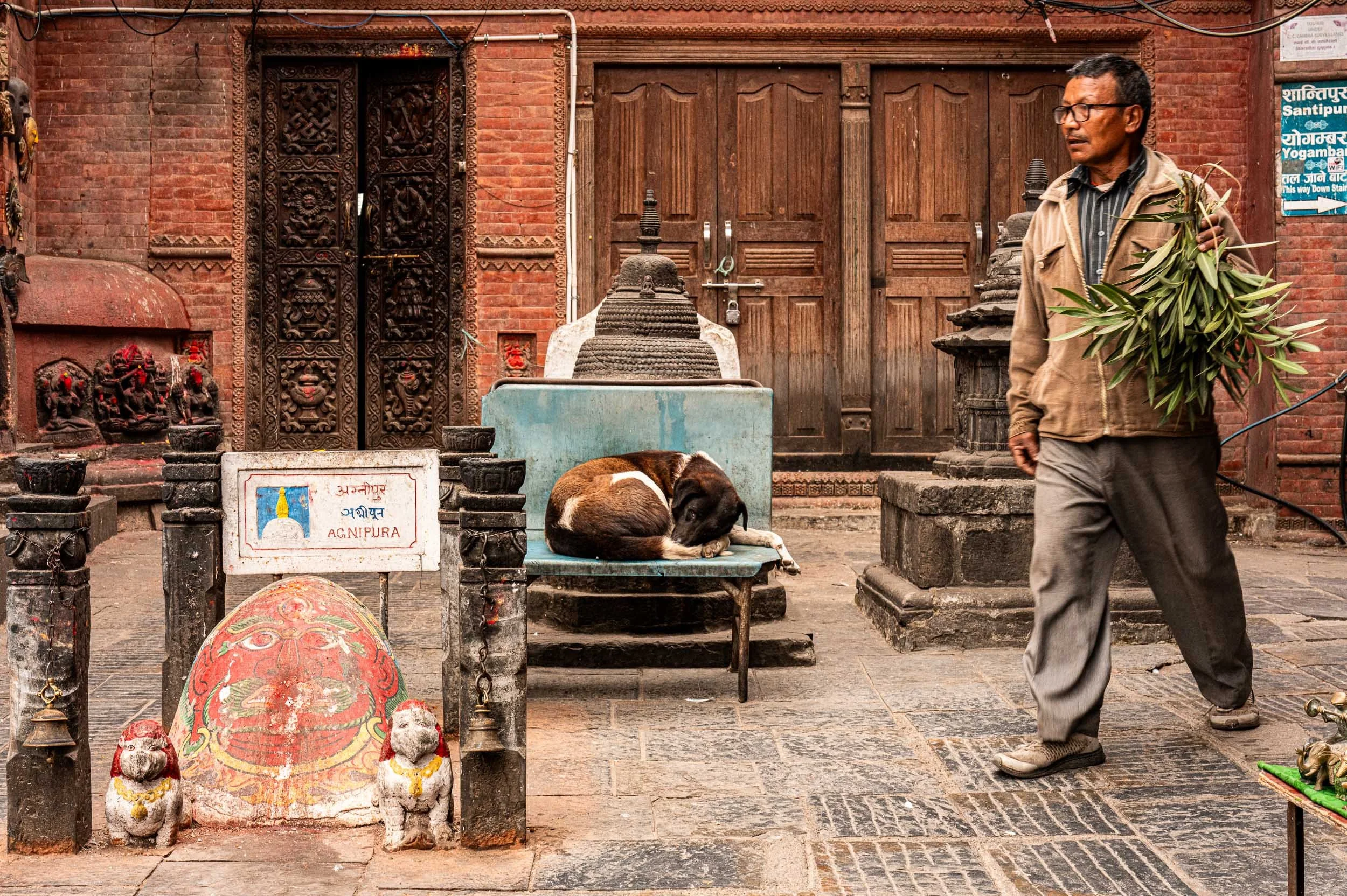 A street scene in Nepal with a man walking, a dog resting on a chair, and various religious artifacts, including statues, a bell, and traditional decorations, against a brick building with wooden doors.