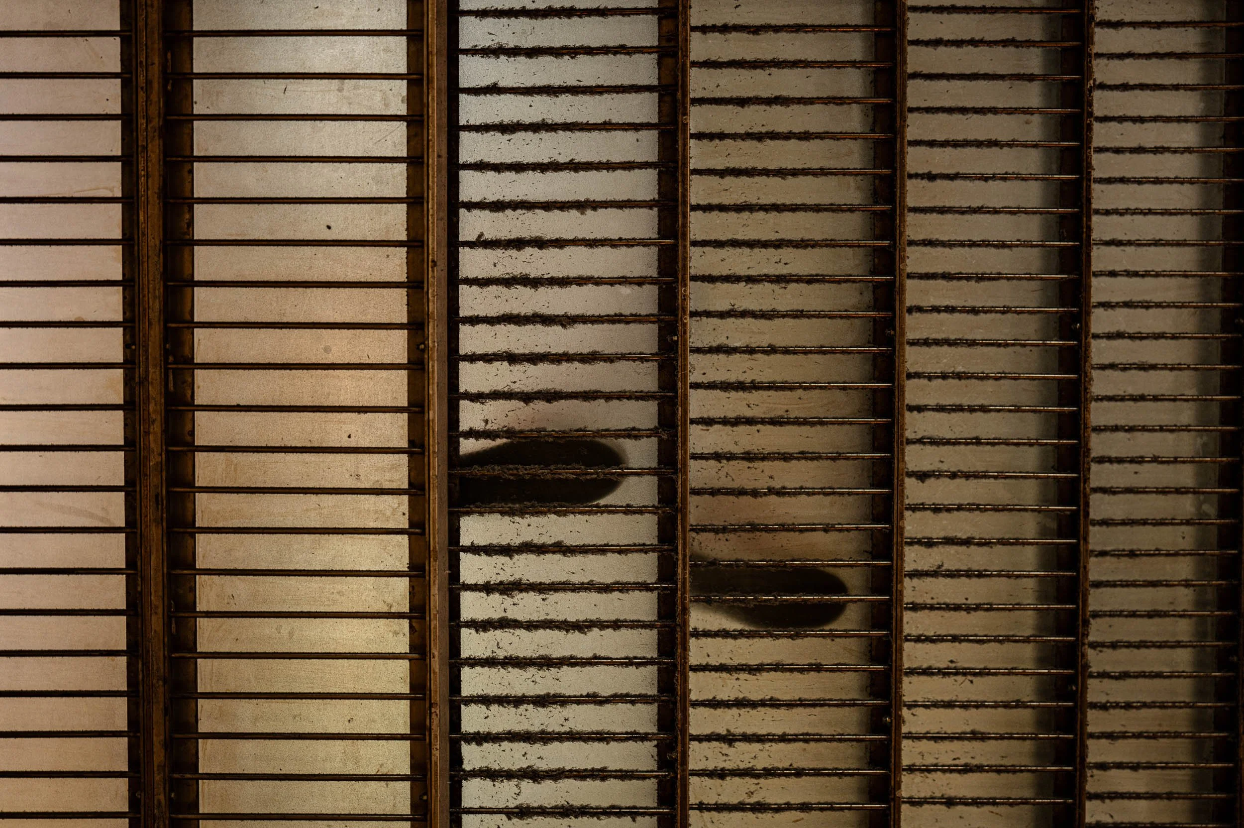 a series of vertically aligned rusted metal bars, some bending, with a shadow of a person's head and shoulders cast on the wall behind them.
