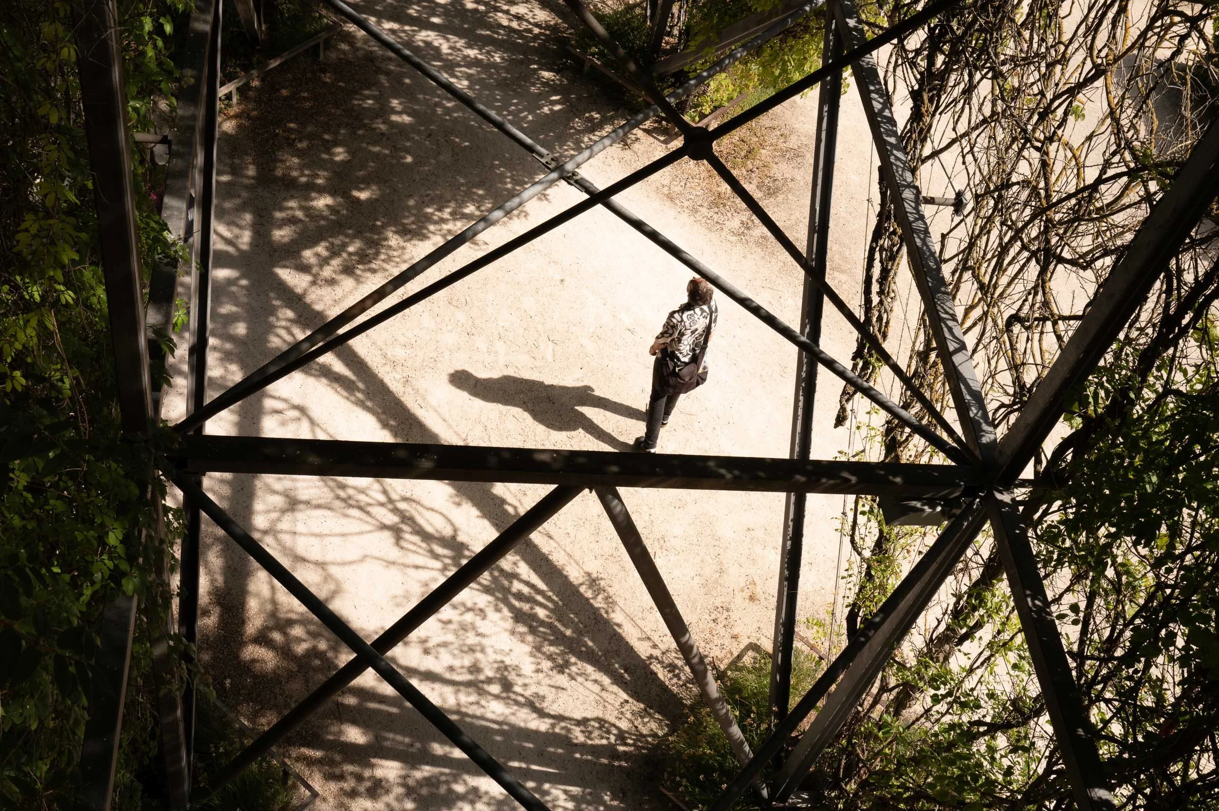 A person with brown hair, wearing a patterned top, walking down a pathway on a metal staircase, with shadows from leaves and metal bars creating patterns on the ground in an outdoor setting.