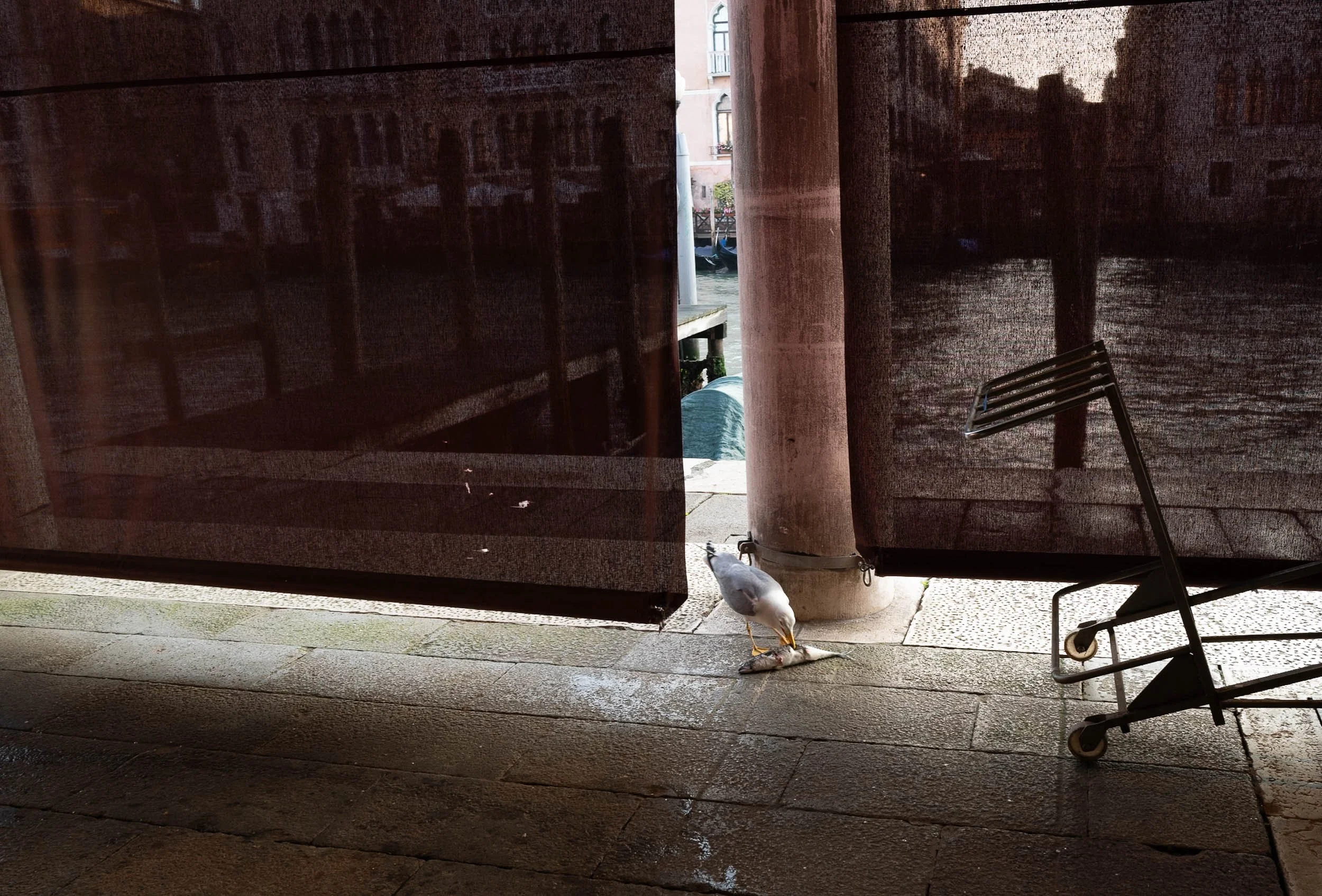 L1012193.jpg