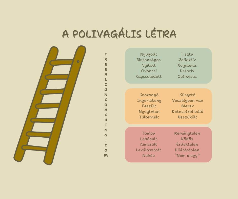AZ ÁLLANDÓ STRESSZ MINT MINDENNAPOS NORMA- POLIVAGÁLIS SZEMSZÖGBŐL