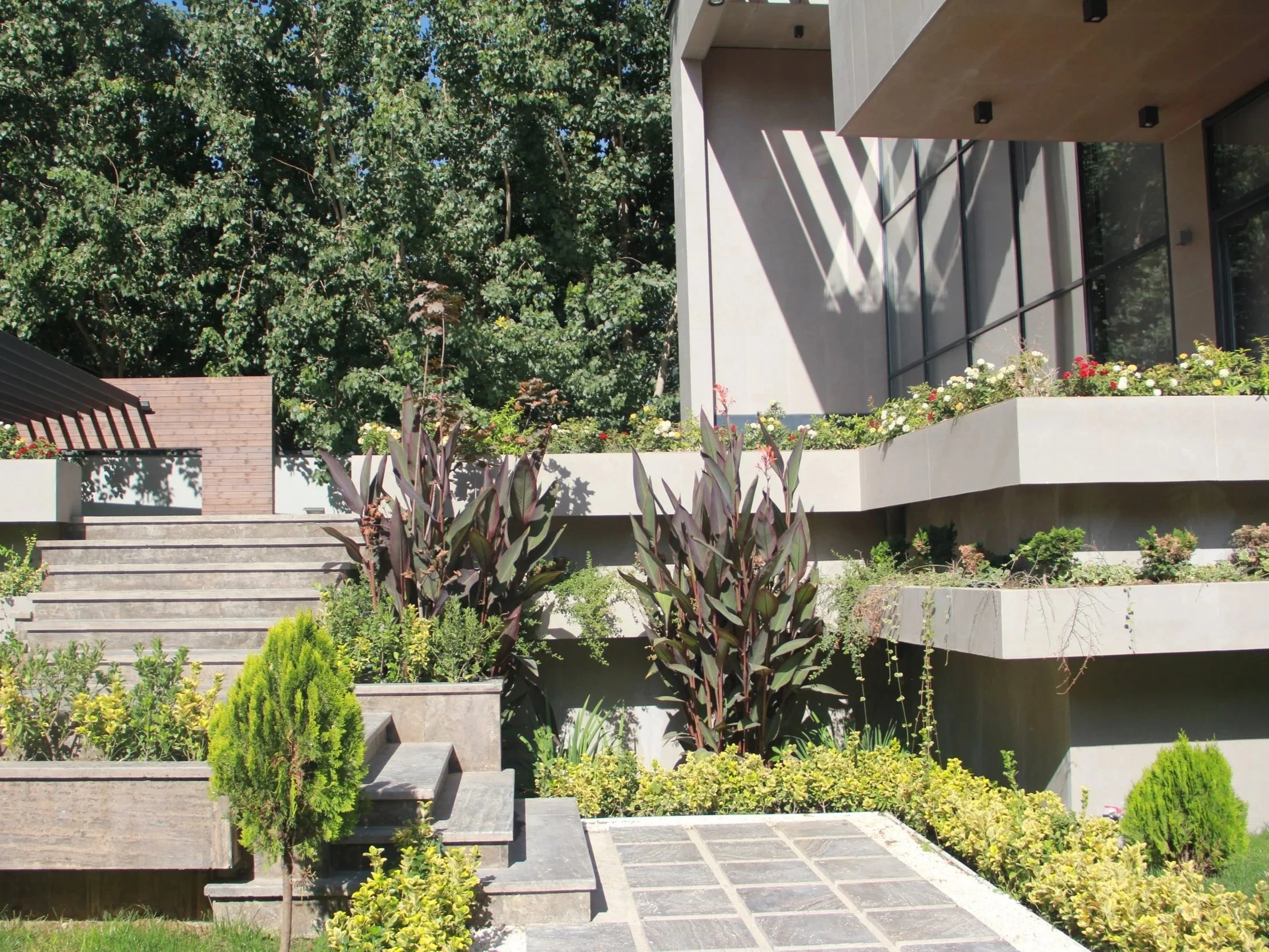 Luxury residential architecture showcasing clean architectural lines, generous glazing, and thoughtfully integrated landscape design.