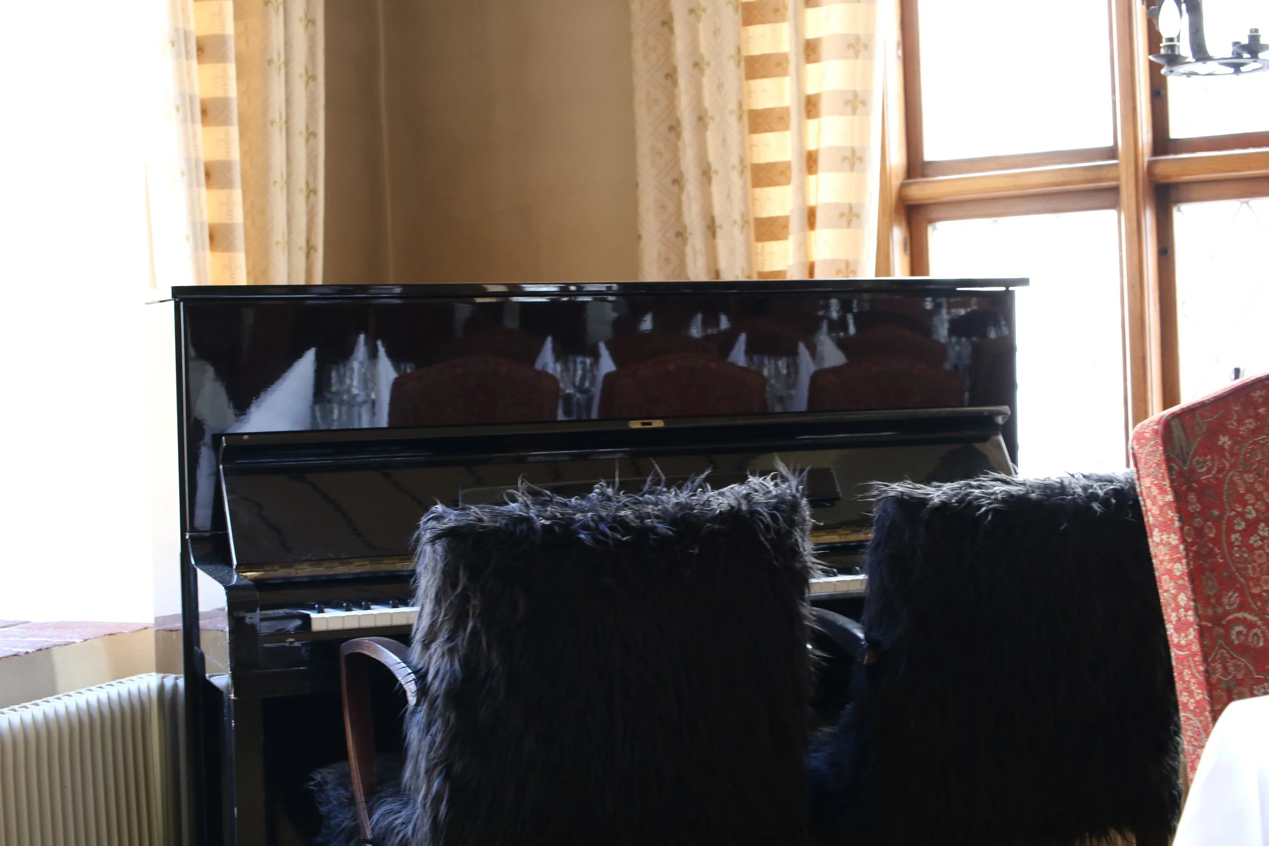 A black upright piano with two furry black dogs sitting in front of it, facing away. Behind the piano are cream-colored curtains with gold stripes and a window with wooden trim. To the right, part of a red patterned upholstered chair is visible.